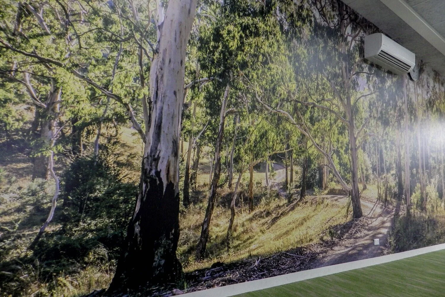 Wall & Ceiling Graphics Gallery