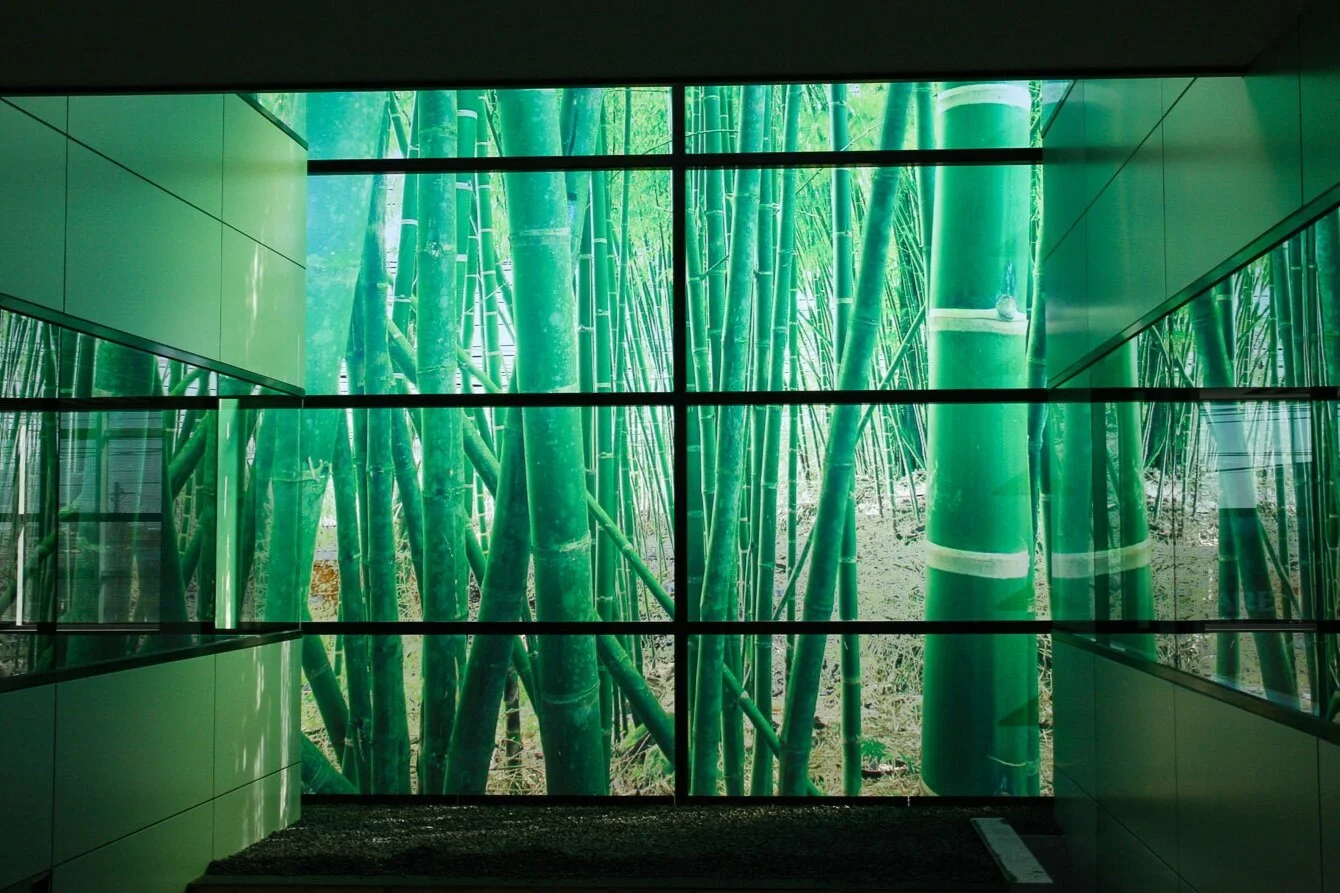 Window Graphics Gallery