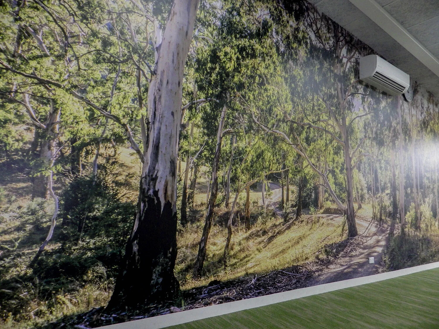 Digital Print Wall Graphic 