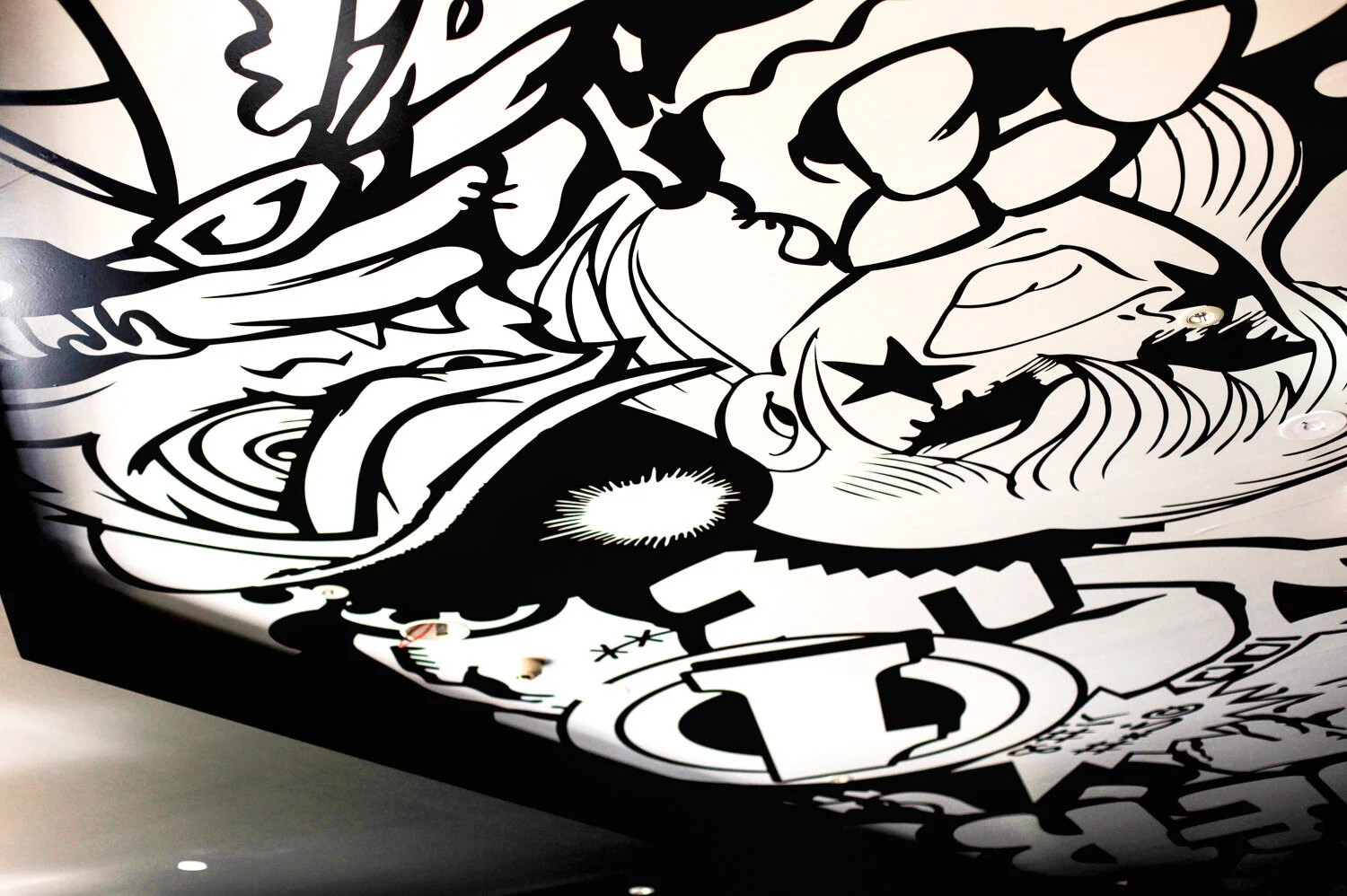 Digital Print Ceiling Graphic 