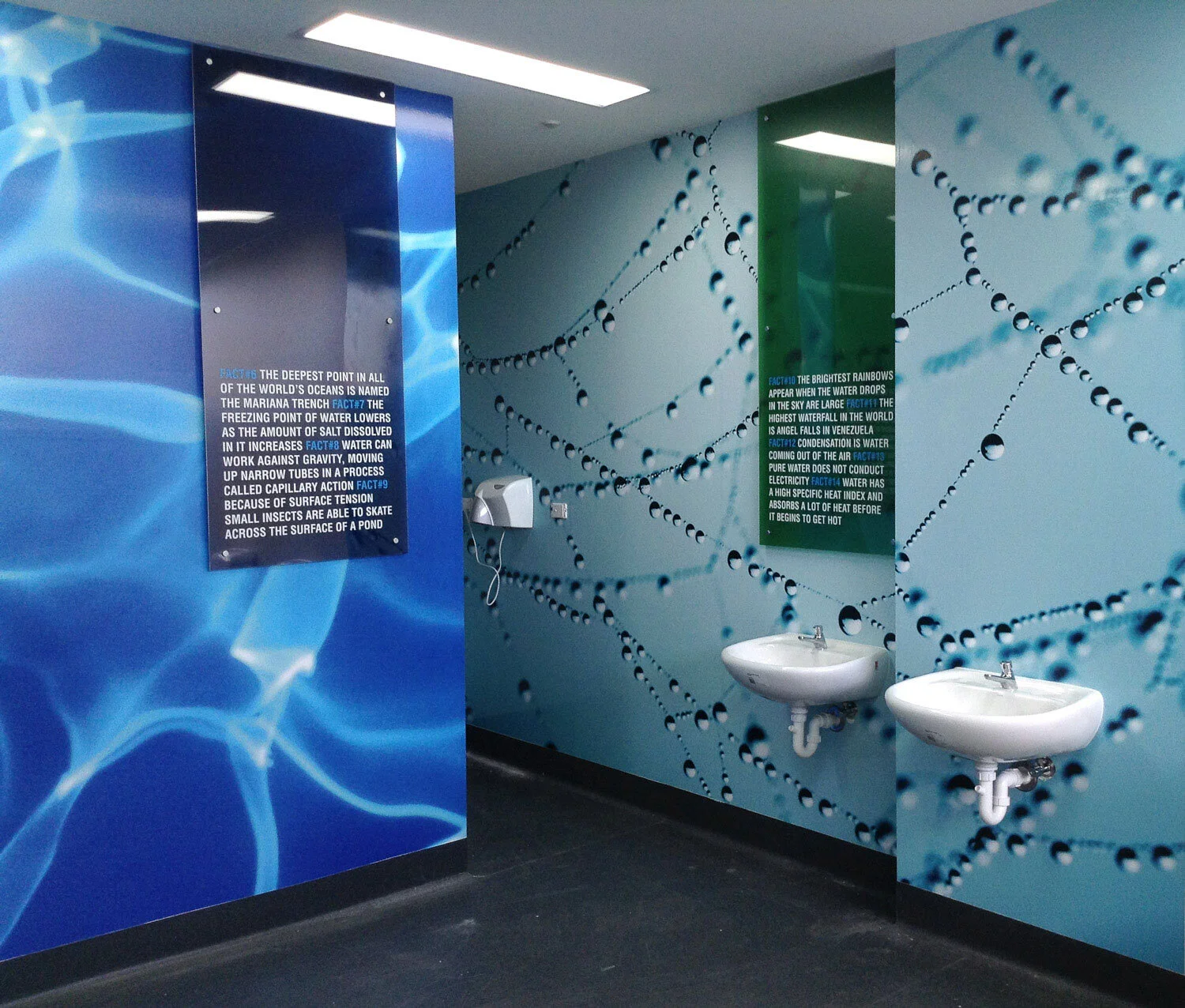 Digital Print Wall Graphic 