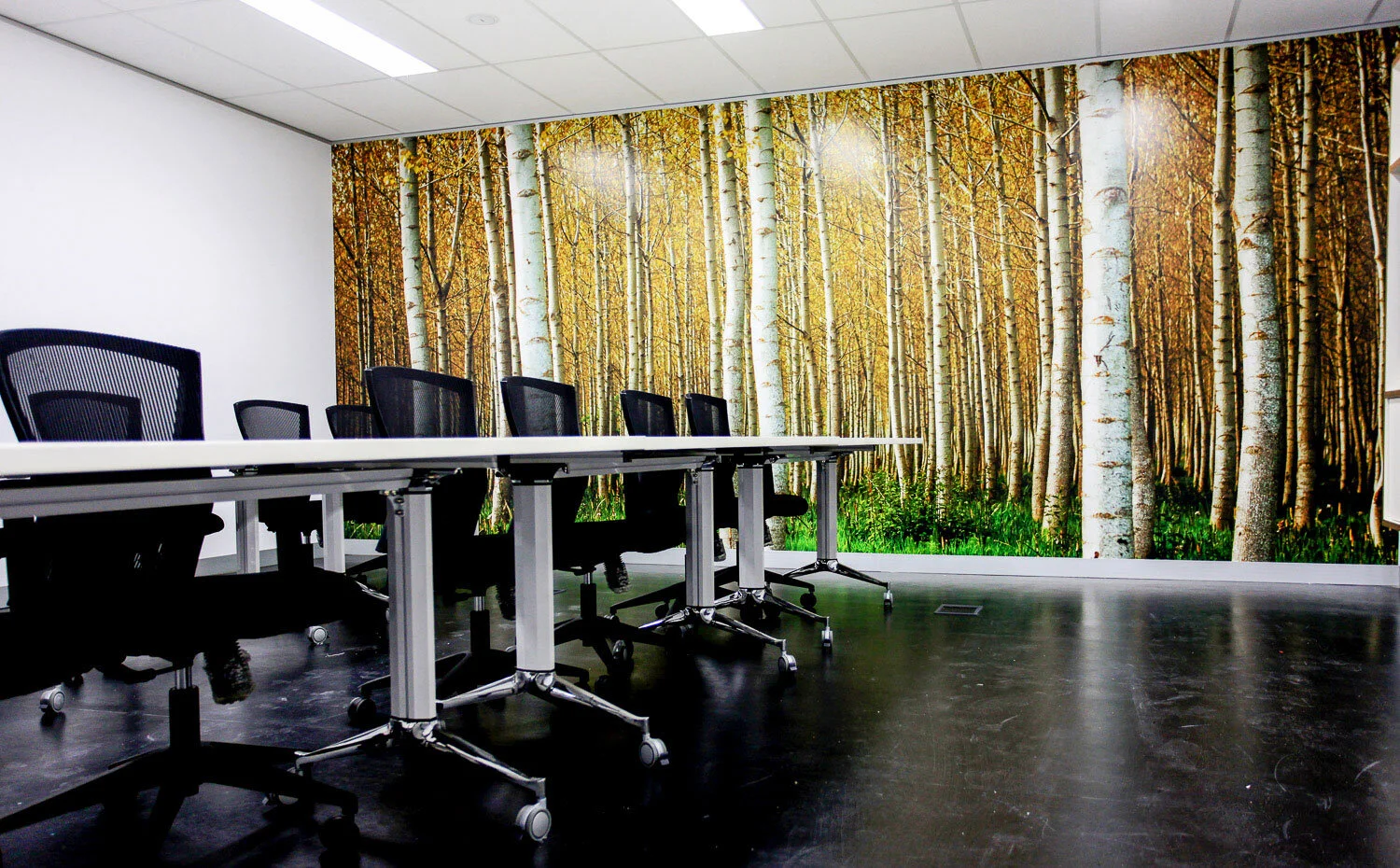 Digital Print Wall Graphic 