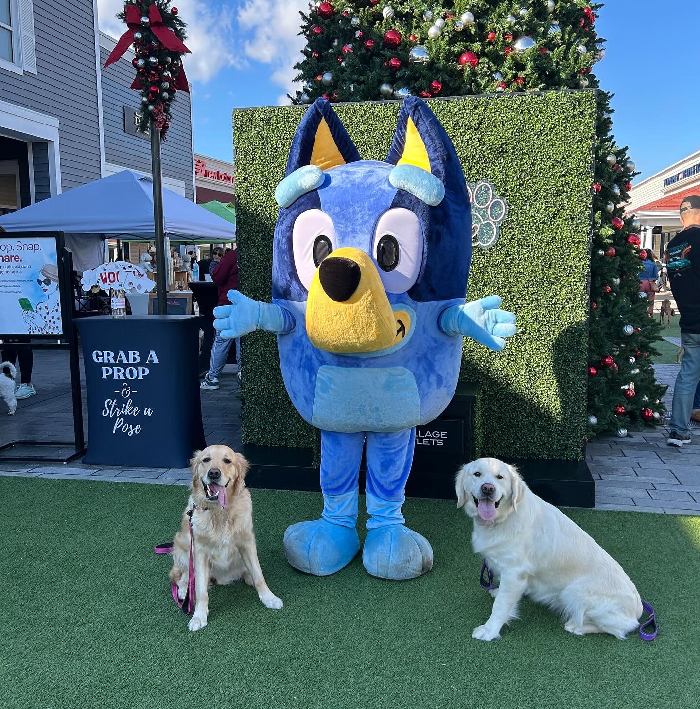 Two dogs sitting on grass in front of the Blue Heeler Puppy party character with yellow ears, a big nose, and big eyes, during a Christmas outdoor event with decorated tree and holiday decorations.