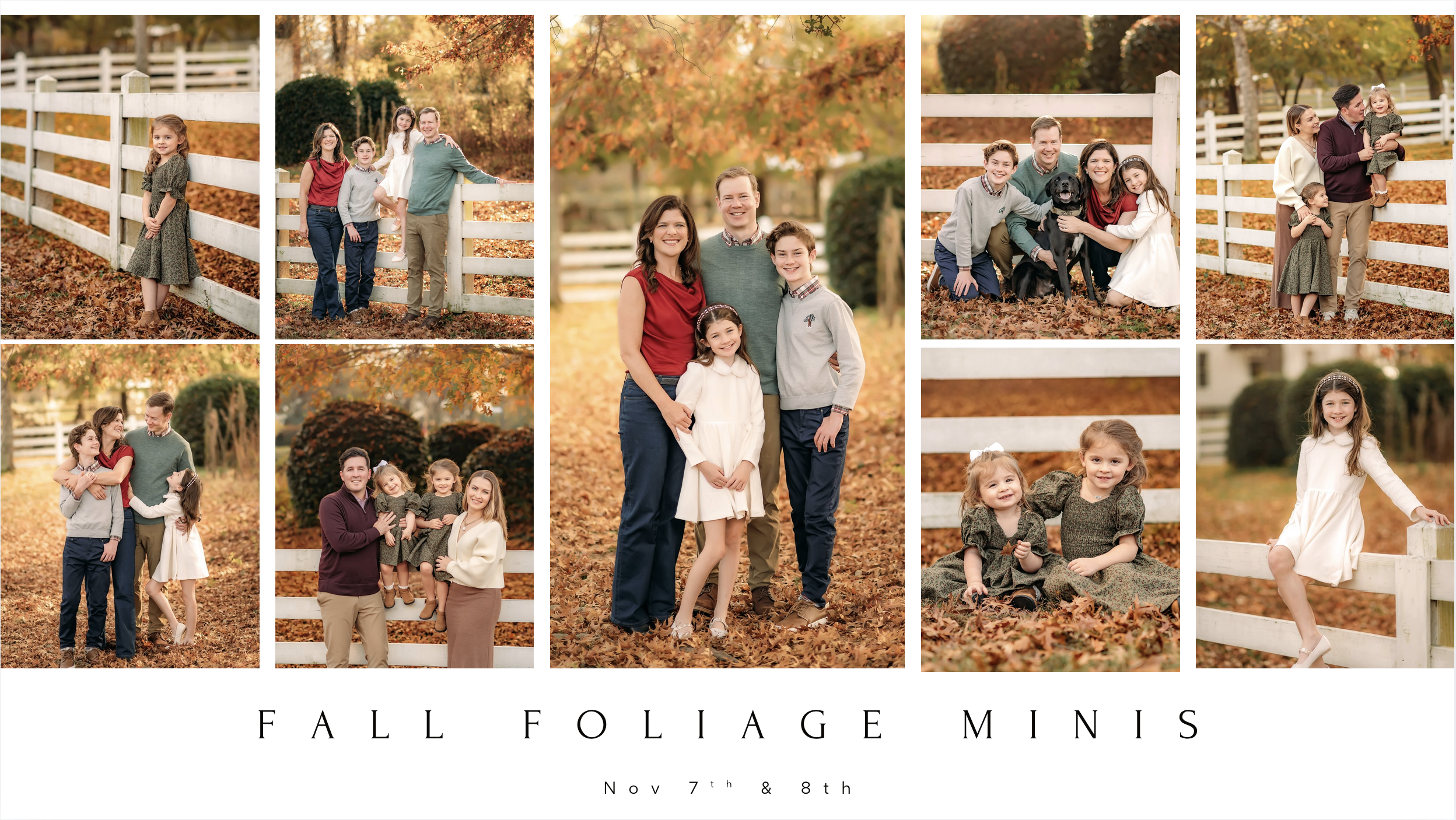 Fall Foliage Banner.png