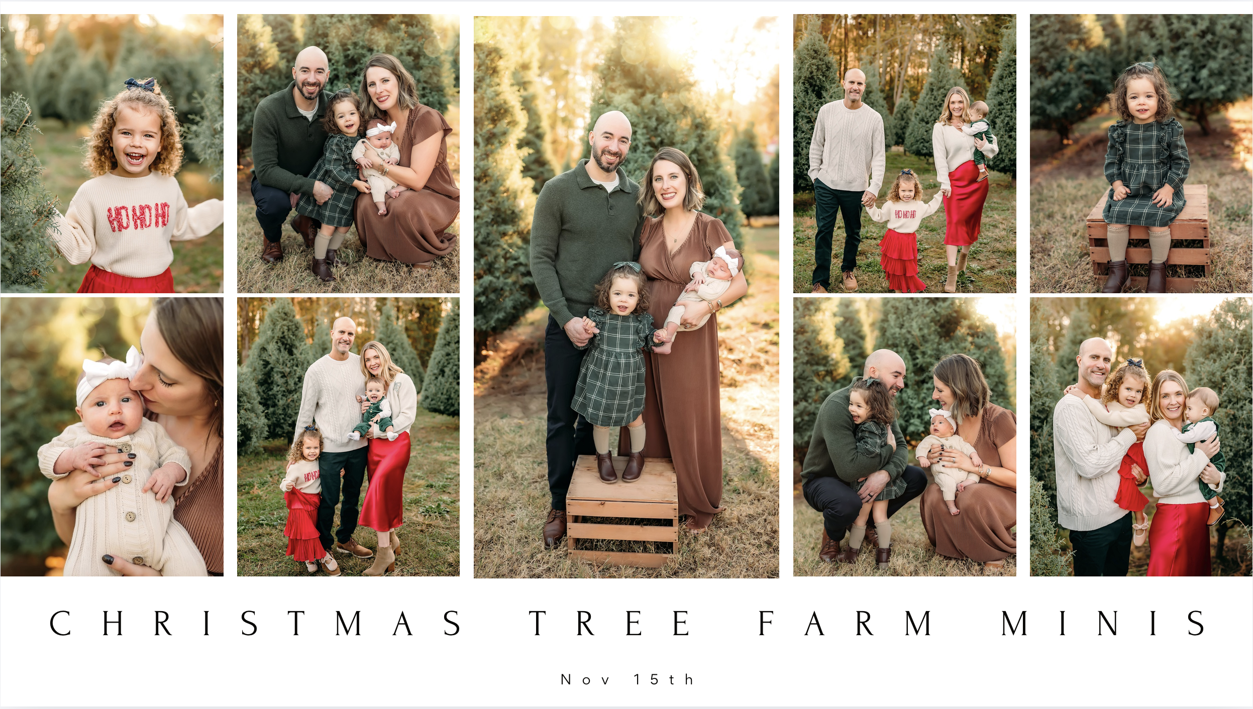 Christmas Tree Farm.png