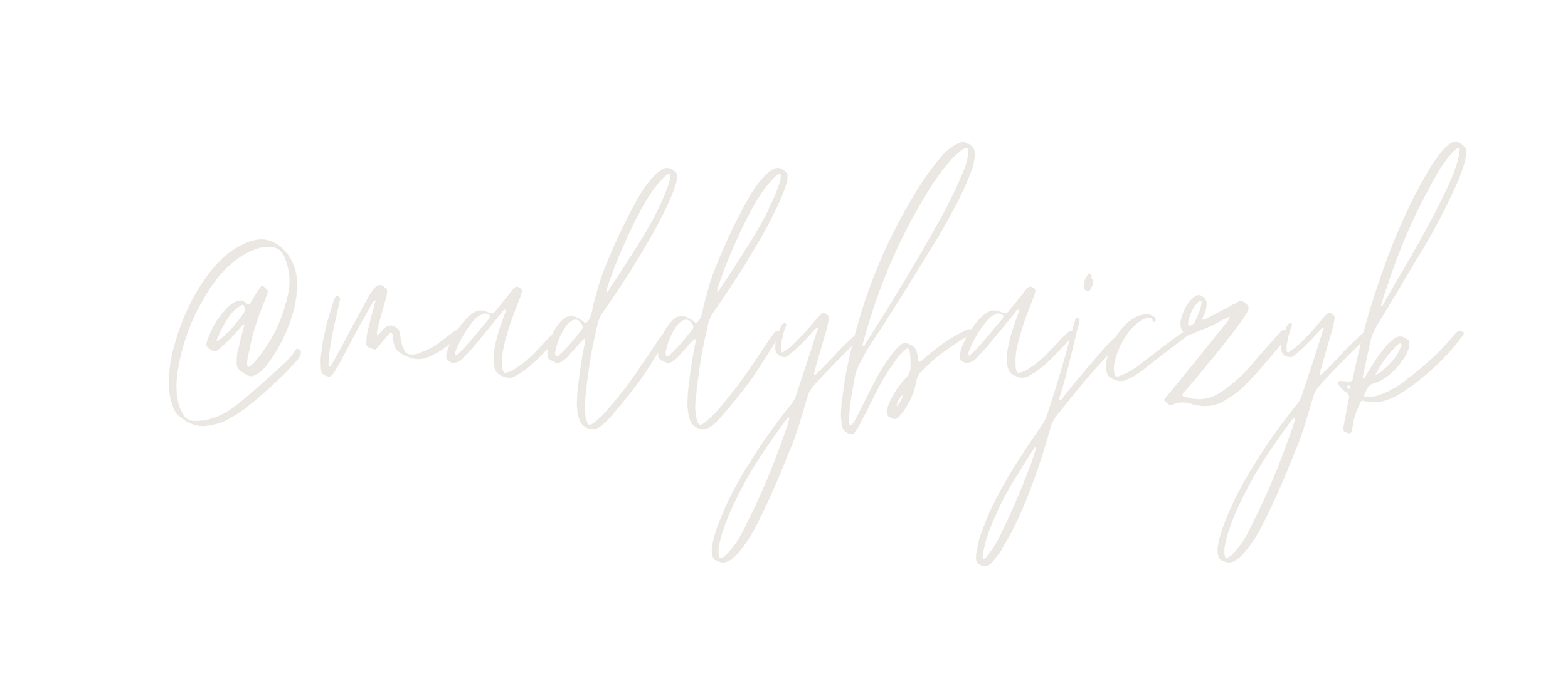 Viral Levi's Jeans Review — Madeline Bajczyk