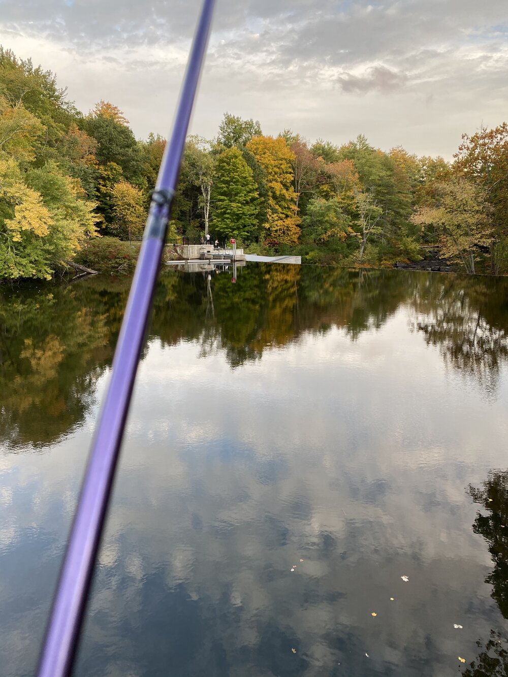 Metallic Purple 7' Casting Rod — The Fishing Hook NH Squarespace