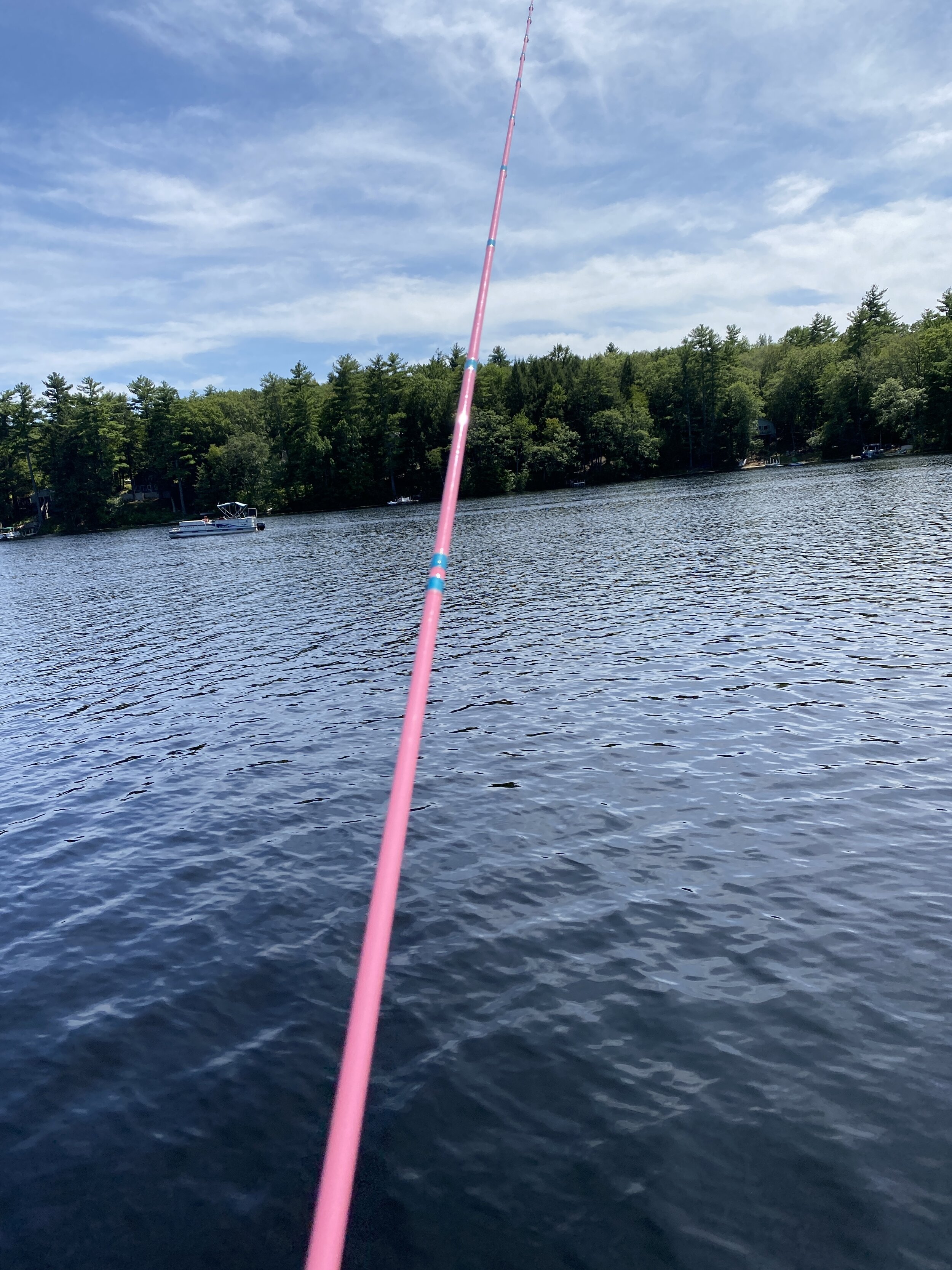 Pink 7’ Casting Rod — The Fishing Hook NH Squarespace