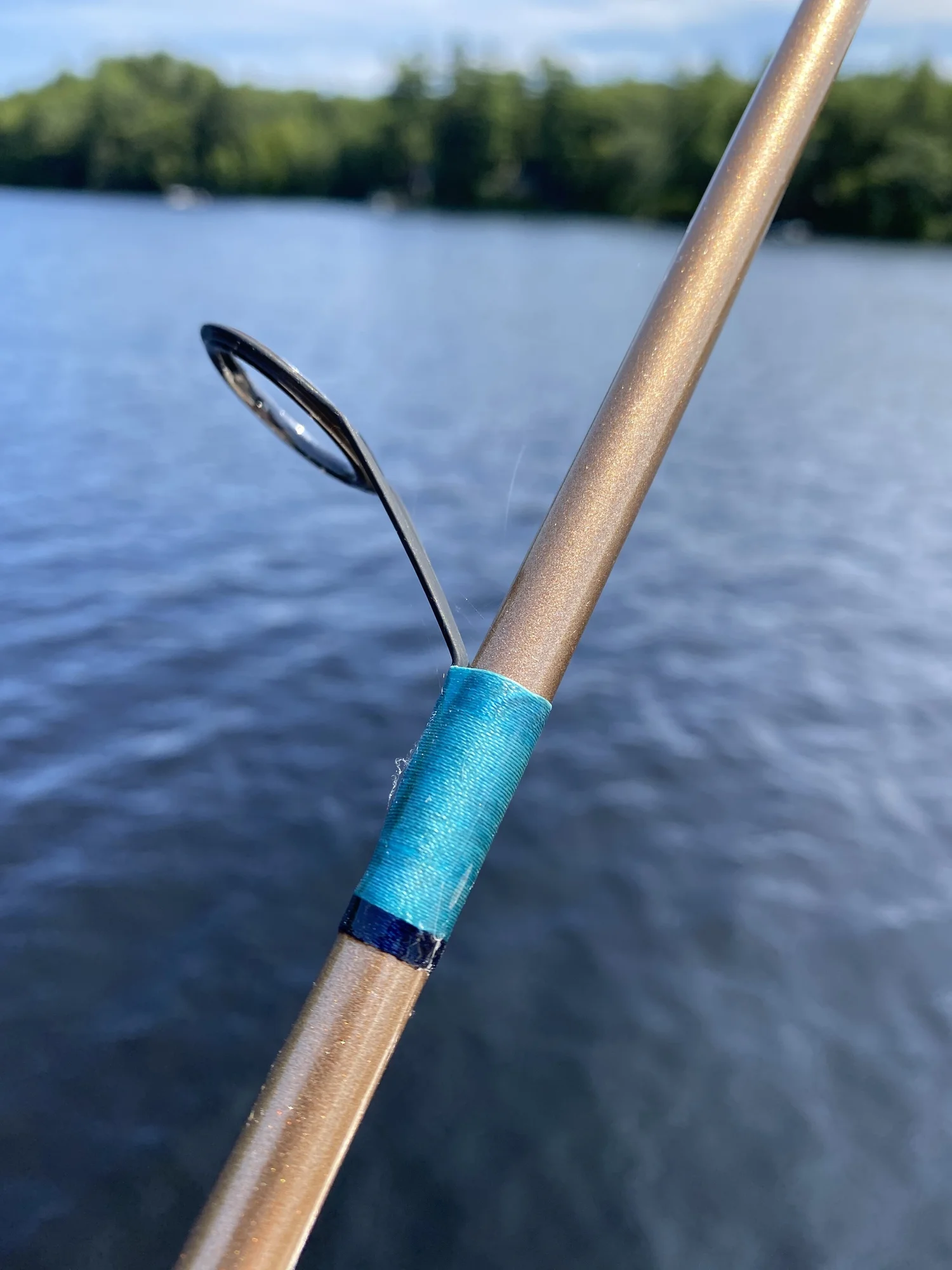 best 8wt fly rod for salmon fishing Orvis Graphite Light Salmon Fly Fishing Rod. 9 1/2. 8wt. W/ Tube and  Sock