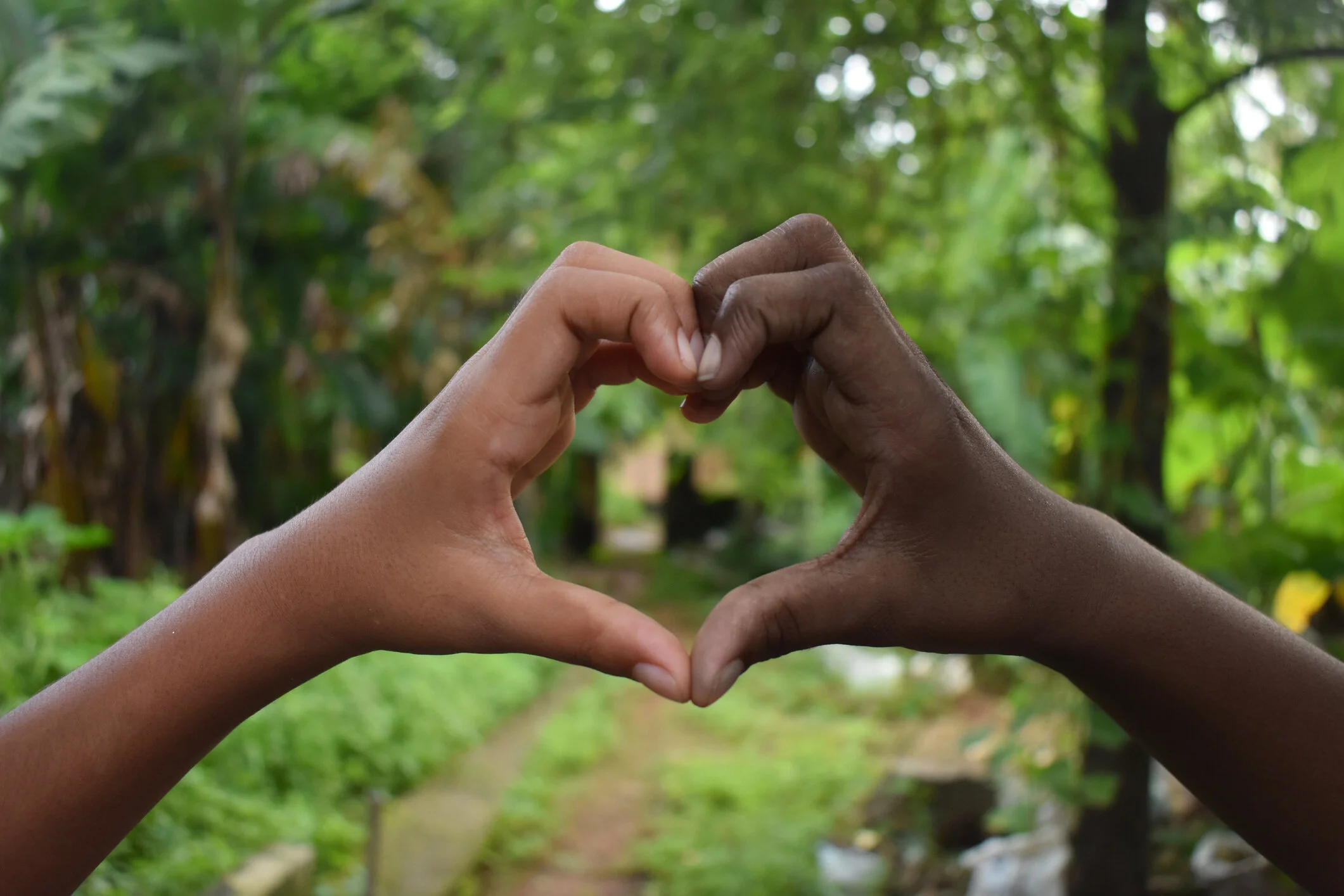 Click to read a recent interview with Mind Cafe's co-founders in The Sun Newspapers. 