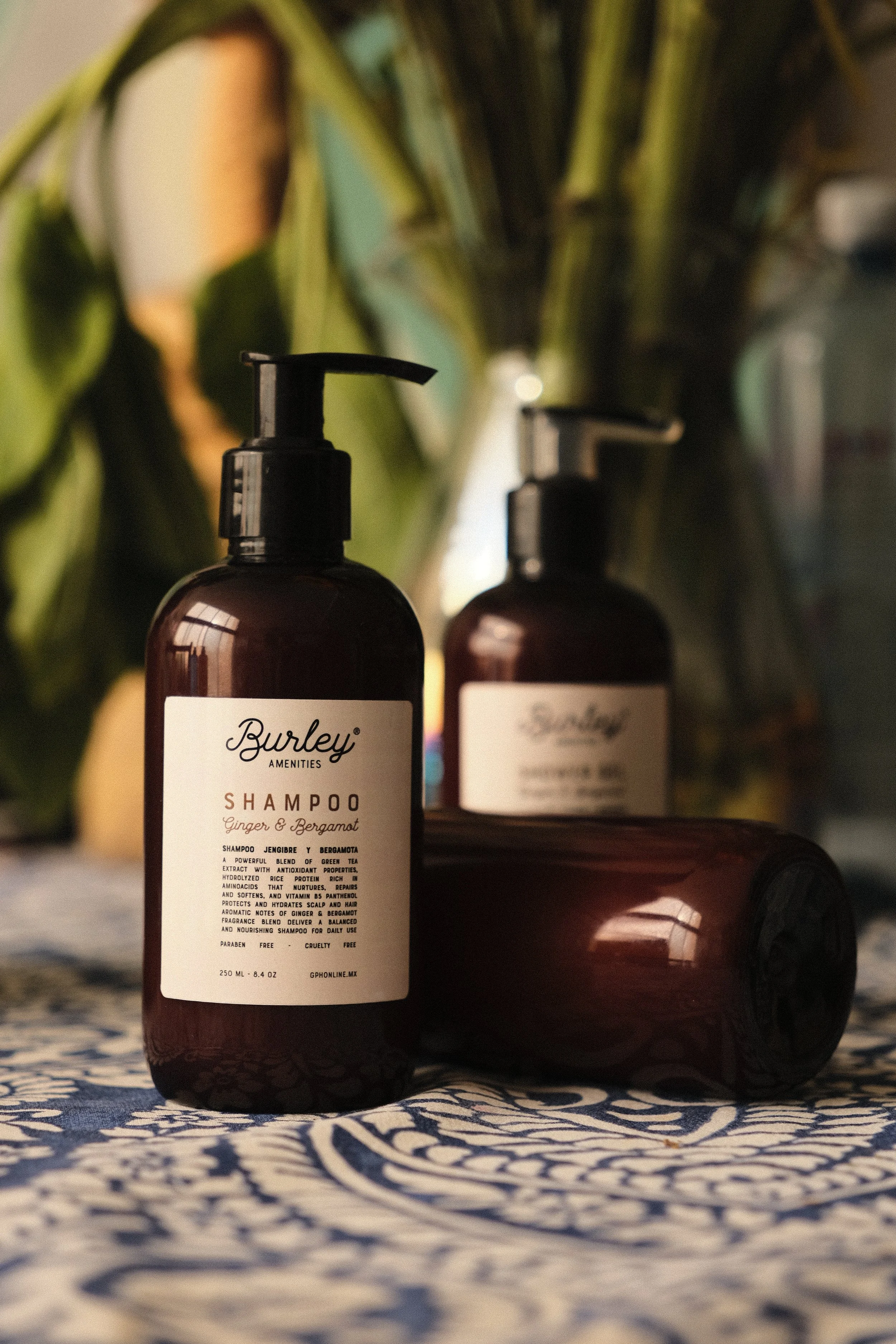 burley 250 flores.JPG