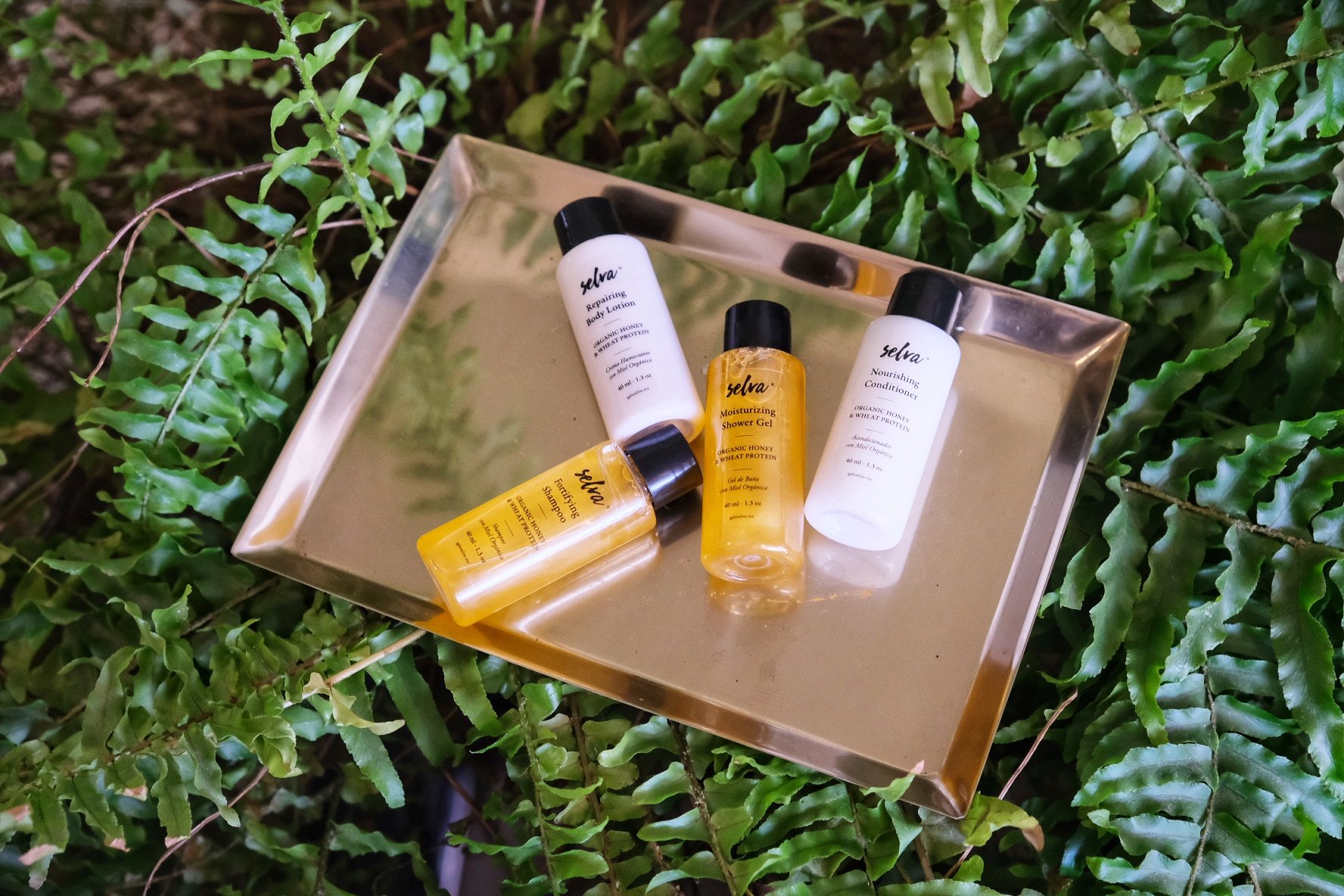 selva amenities 1.JPG