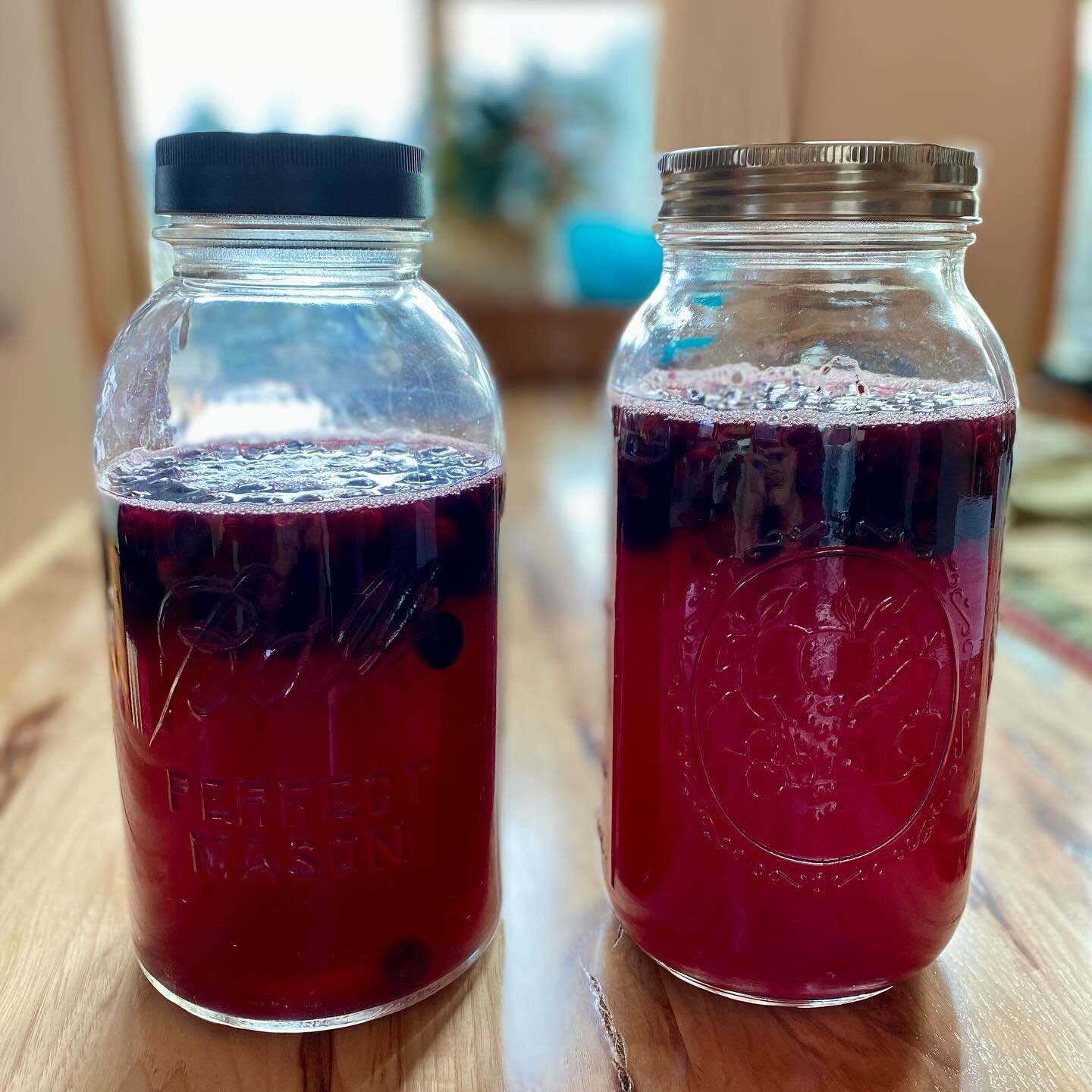 Blueberry Kombucha,  anyone? 🫐

This is my second batch of Kombucha. The first one was definitely a kitchen experiment. It went ok although was a bit too vinegary. It&rsquo;s hard to determine the length to let the tea sit in the wintertime. 🥶

I f