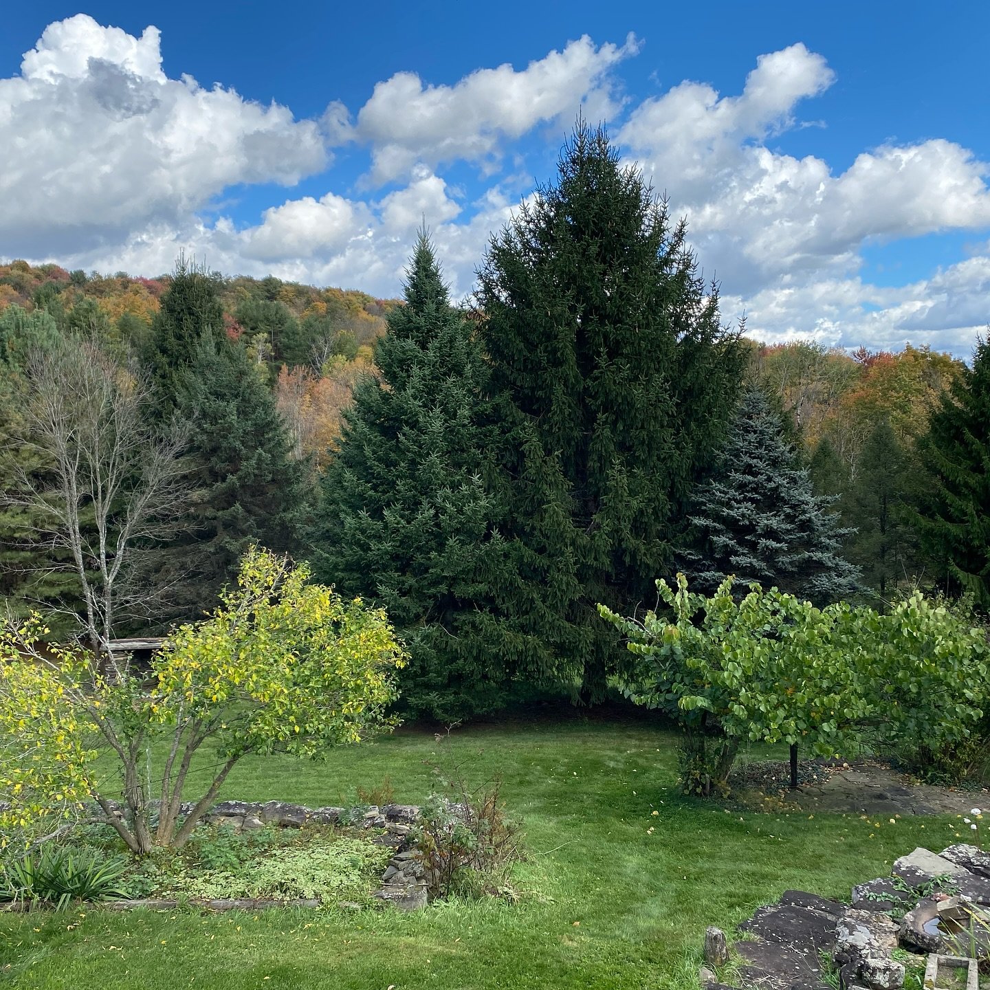 Such a beautiful fall day! The change in season is such a good reminder that it is okay to work hard and be busy some part of the year and to enjoy slower more restful seasons of life as well. 
.
.
.
#naturelovers #exploring #fallleaves🍁🍂 #wilderne