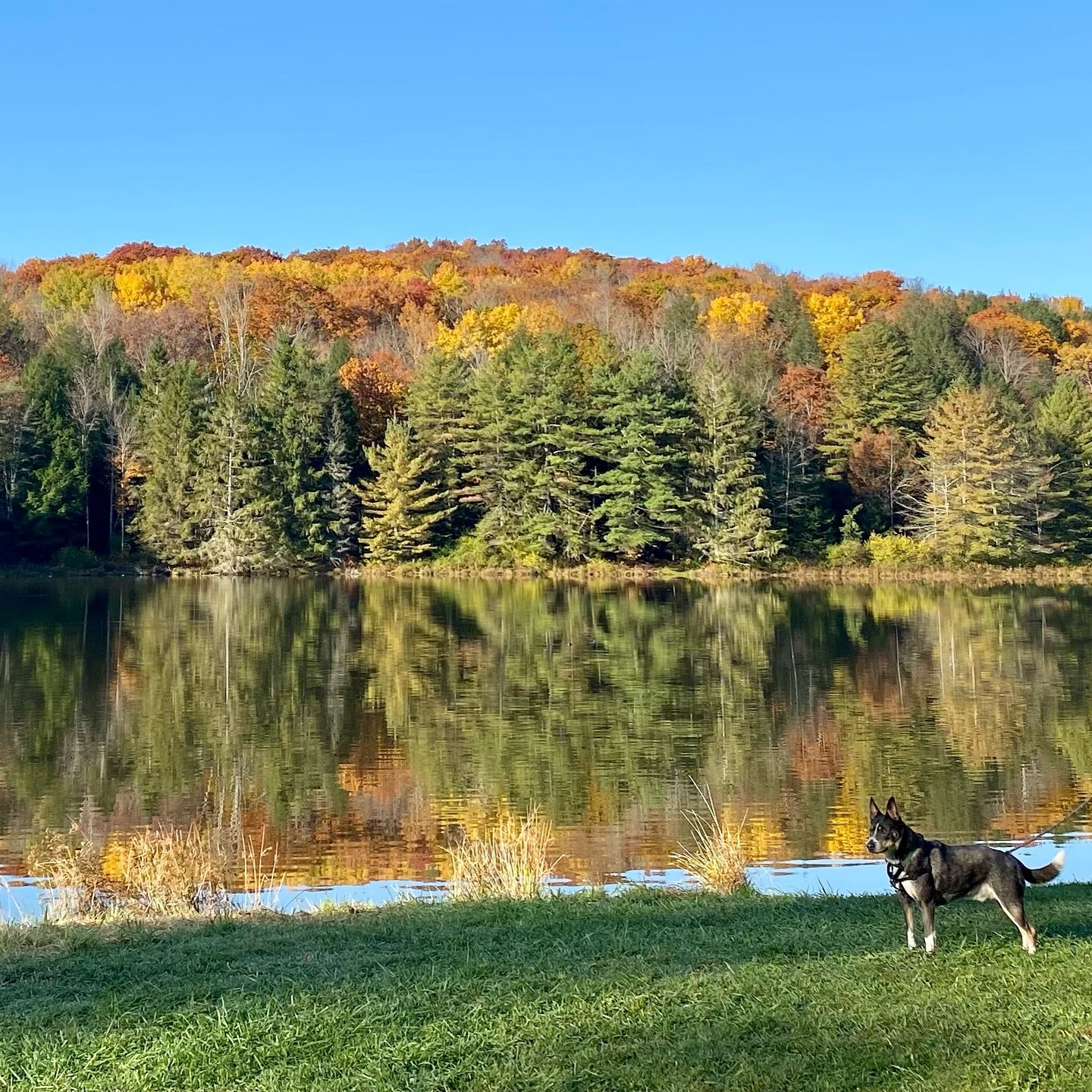 We just had to get outside this week! With night temps dropping, this week seemed like the right time to sneak in an adventure before winter settles in. 

With our big cross country move this past year we didn&rsquo;t get out for any backpacking or c