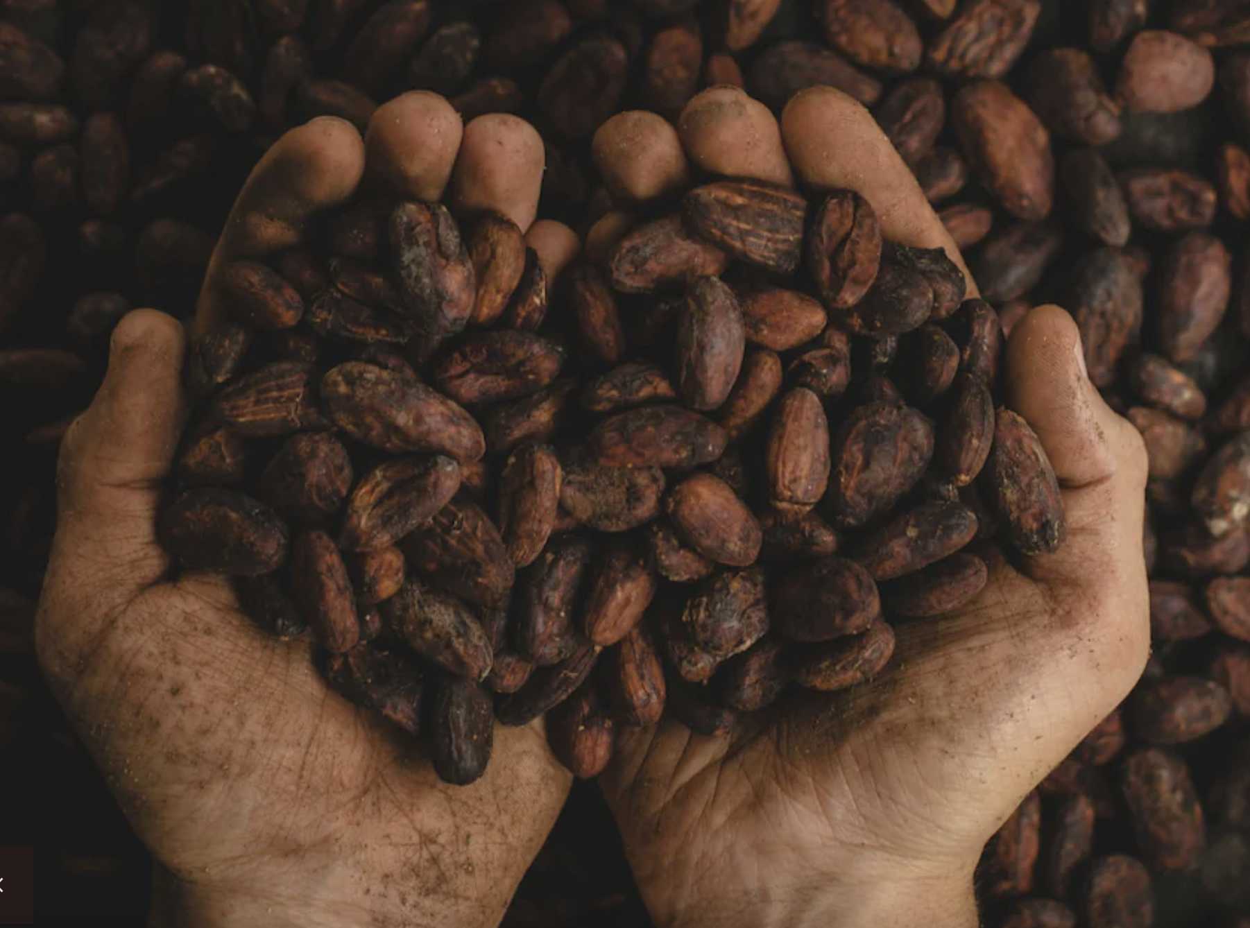 Screenshot 2025-05-20 at 9.26.12 AM.png