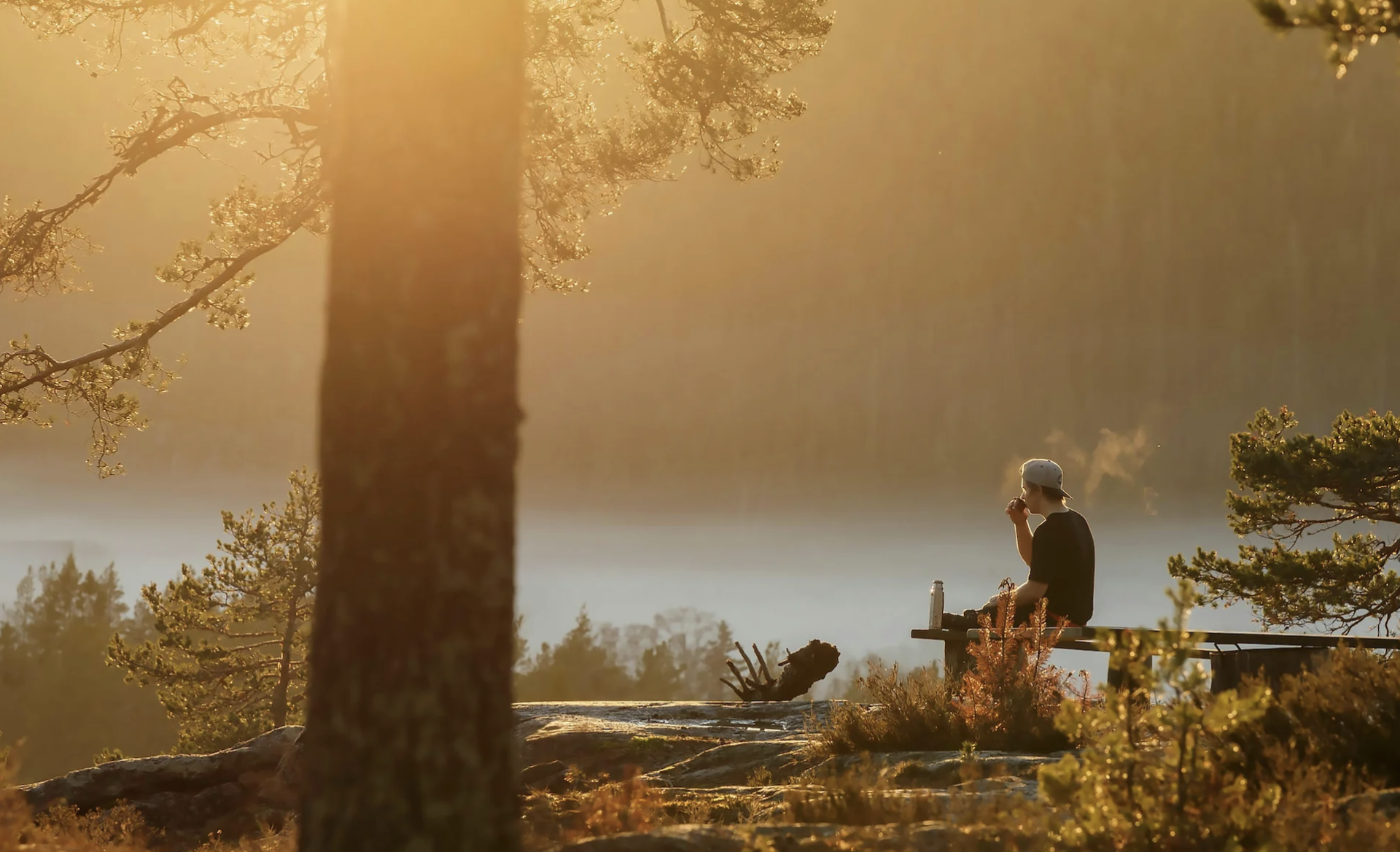 Screenshot 2025-05-20 at 9.33.27 AM.png