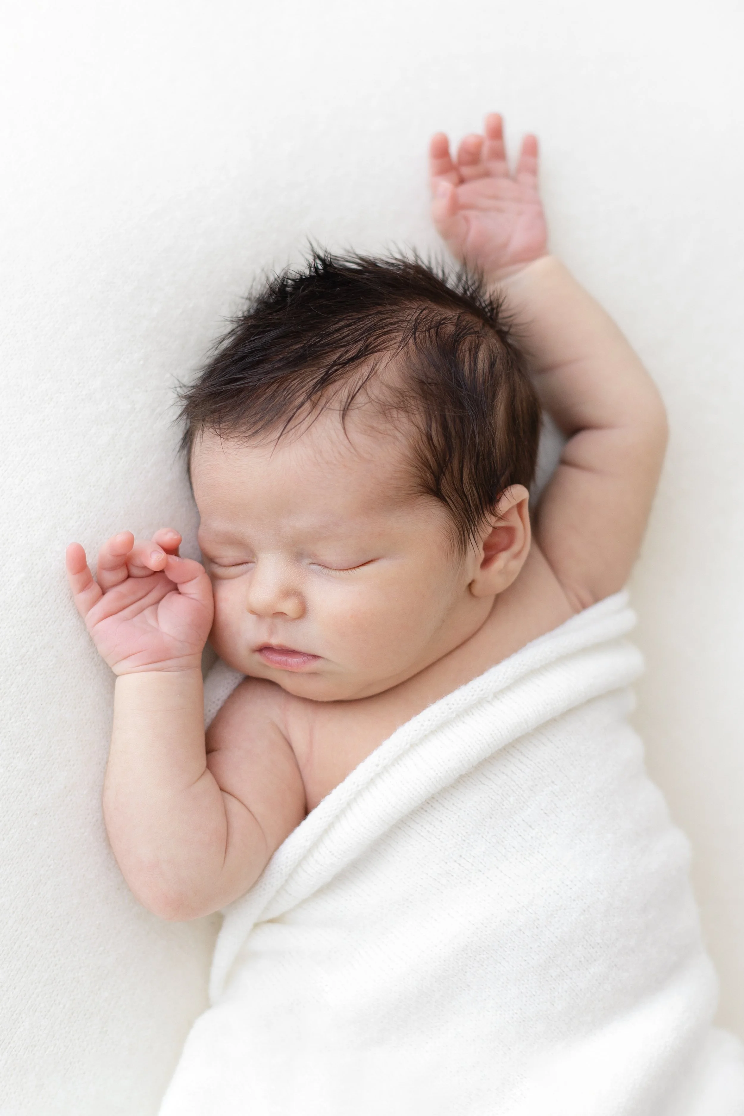 Newborn Photography Melbourne Natural Light Studio Louise Treacy