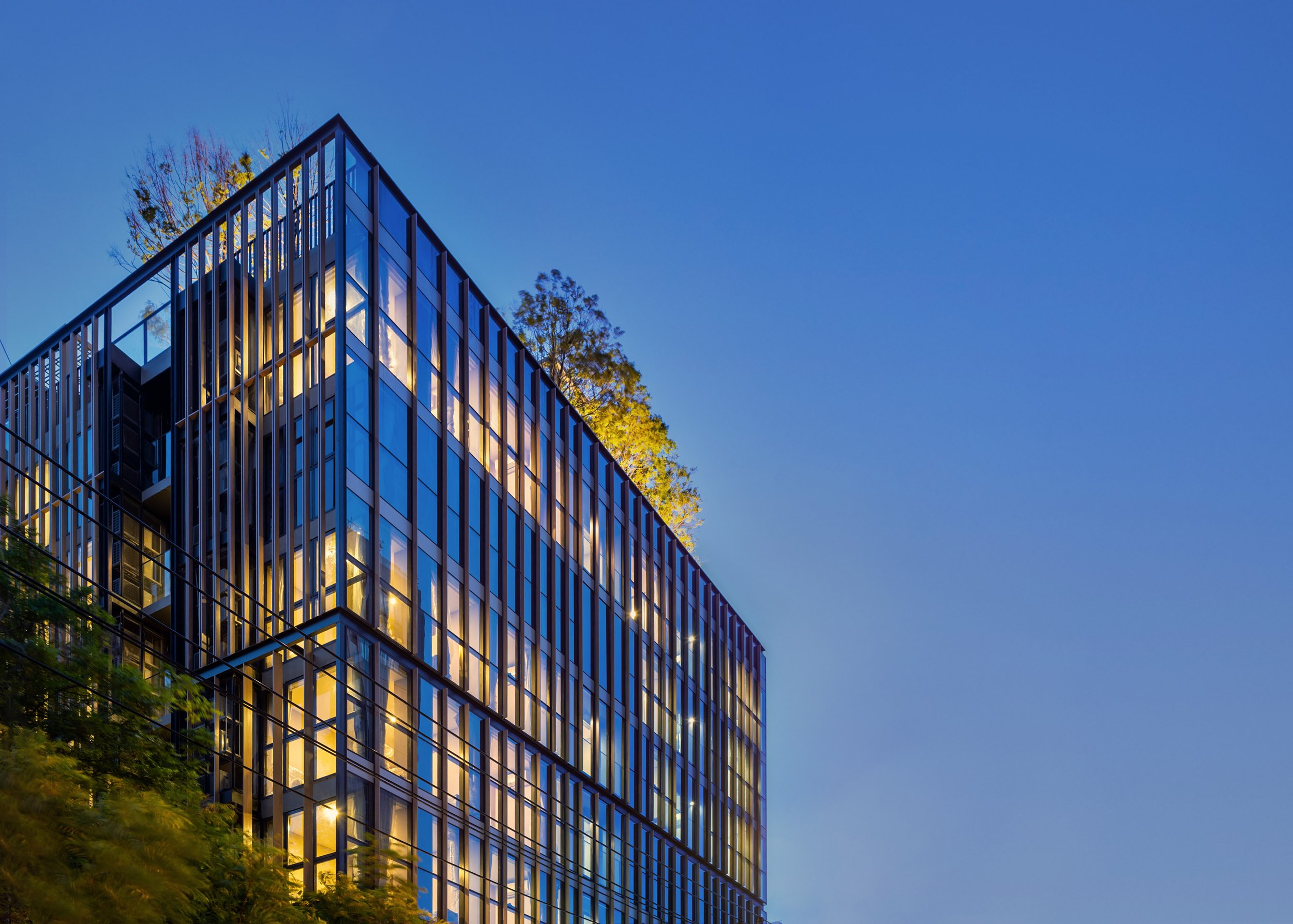 JOY_9484-HDR copy.jpg
