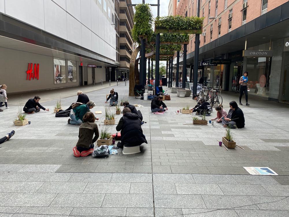 Grassy Shadows - Gawler Place, Rundle Mall