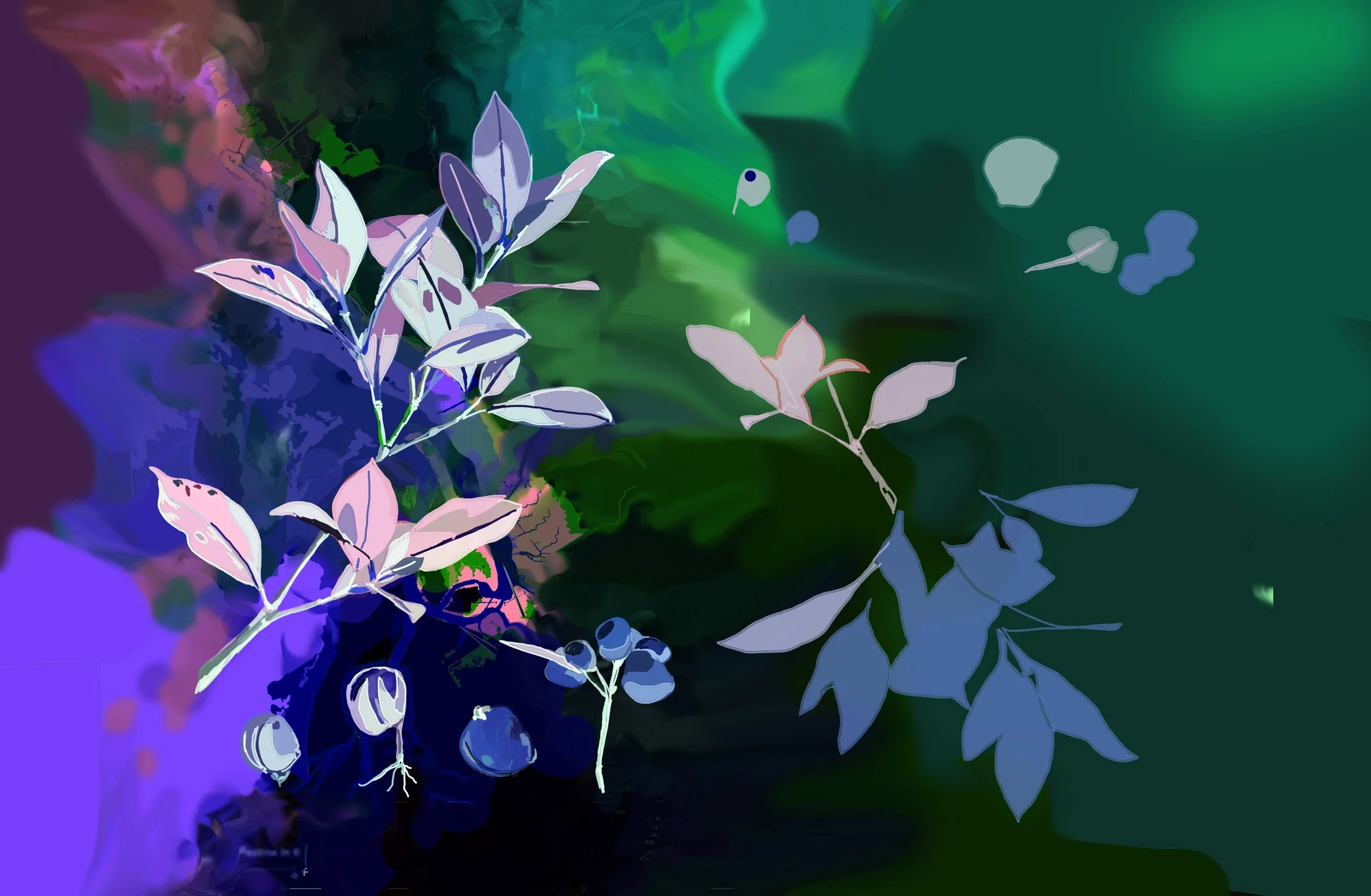mangrove invert.jpg