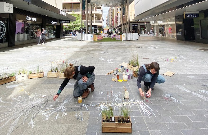 Grassy Shadows - Gawler Place, Rundle Mall