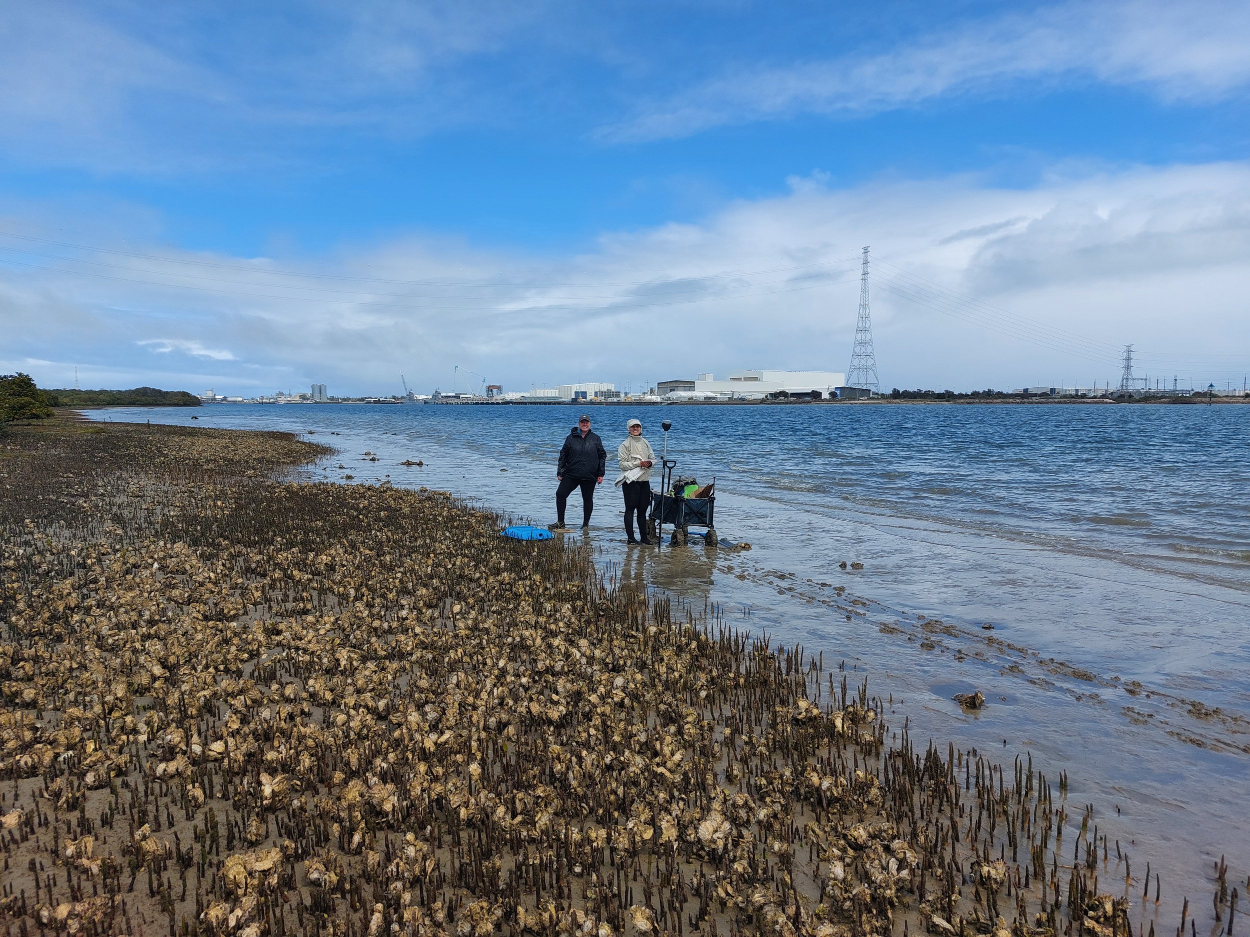 Uni of Adel_Blue Carbon_20240920.jpg