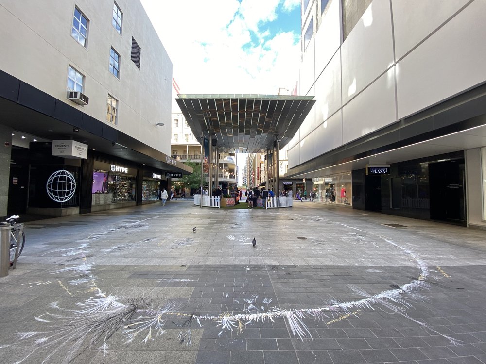 Grassy Shadows - Gawler Place, Rundle Mall