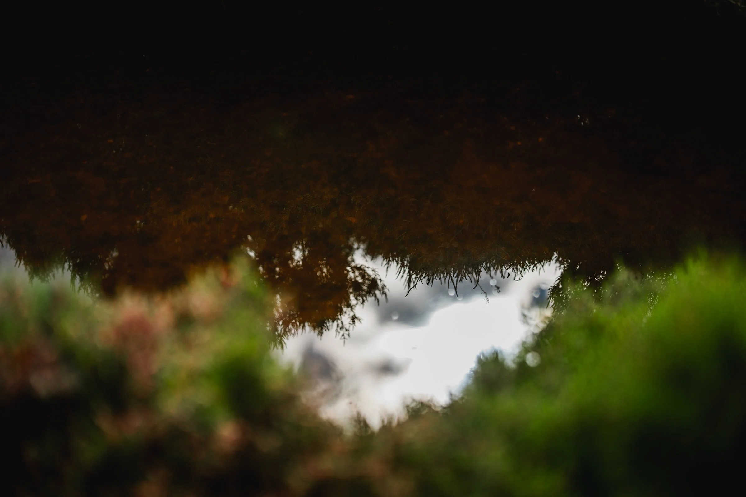 Adelaide Uni-Saltmarsh_saigeprime-371.jpg