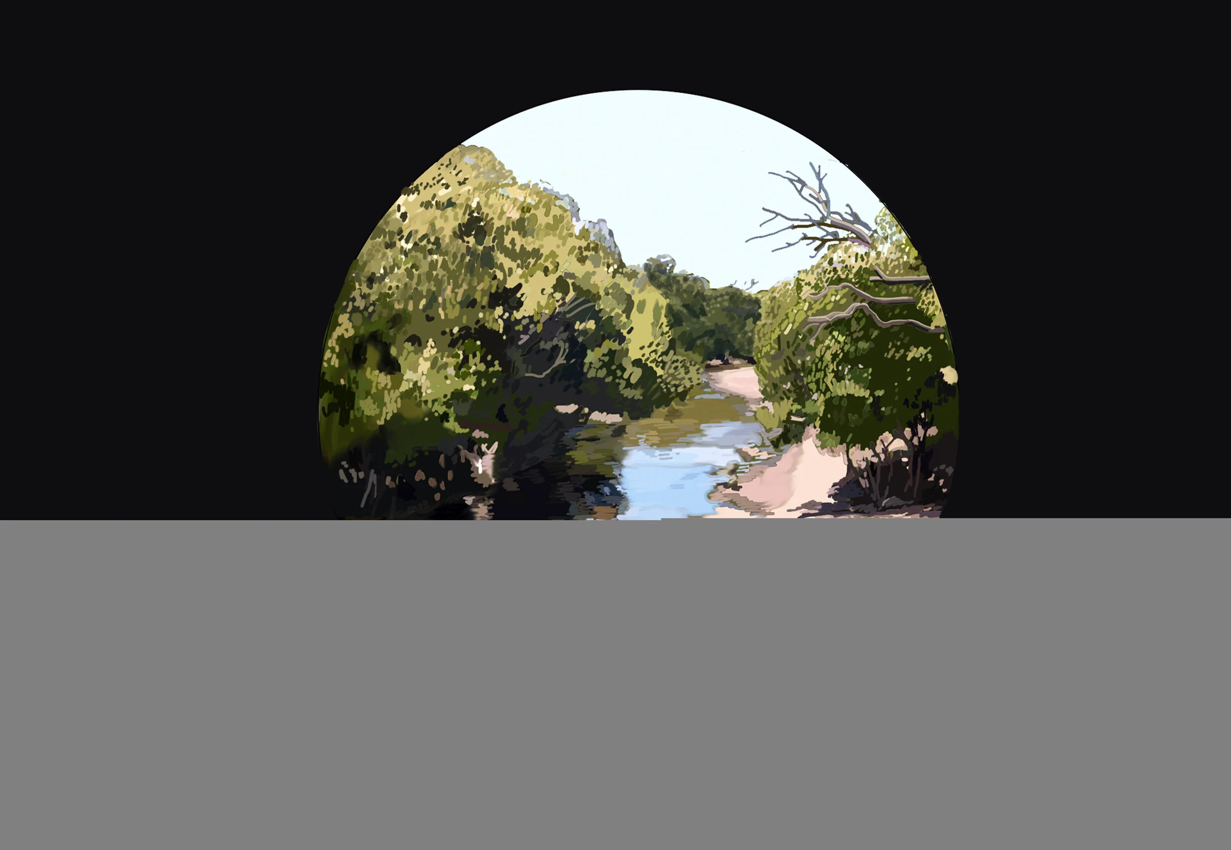 mangrove window.jpg