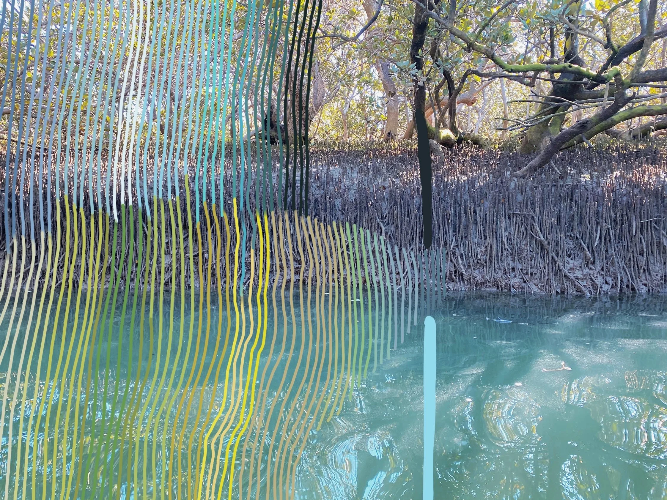 Shore Lines