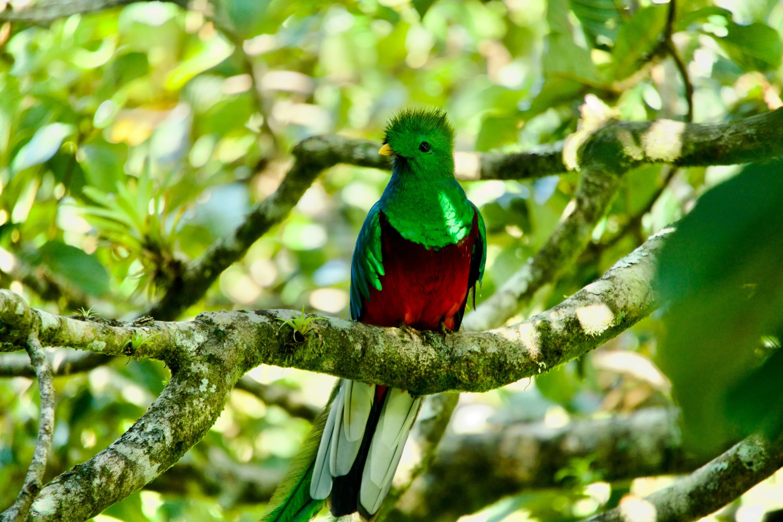 Liberia, Costa Rica