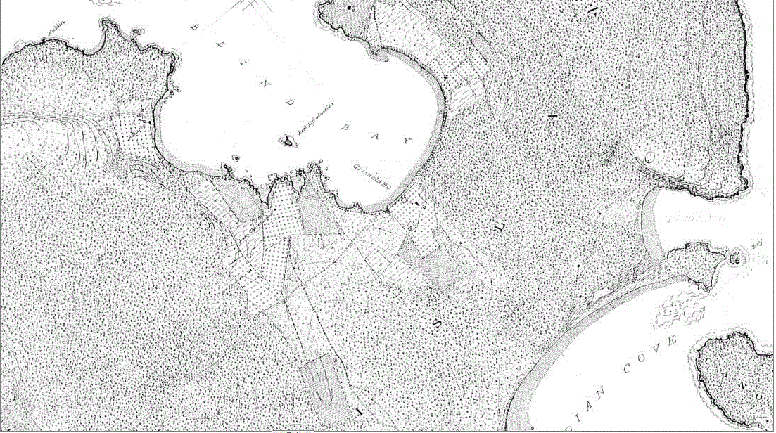 Shaw Island 1895 (3).GIF