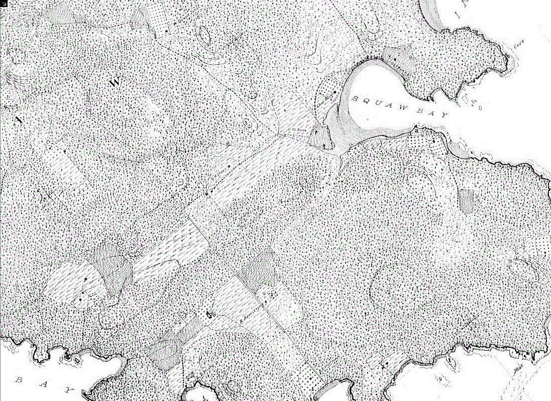 Shaw Island 1895 (5).GIF