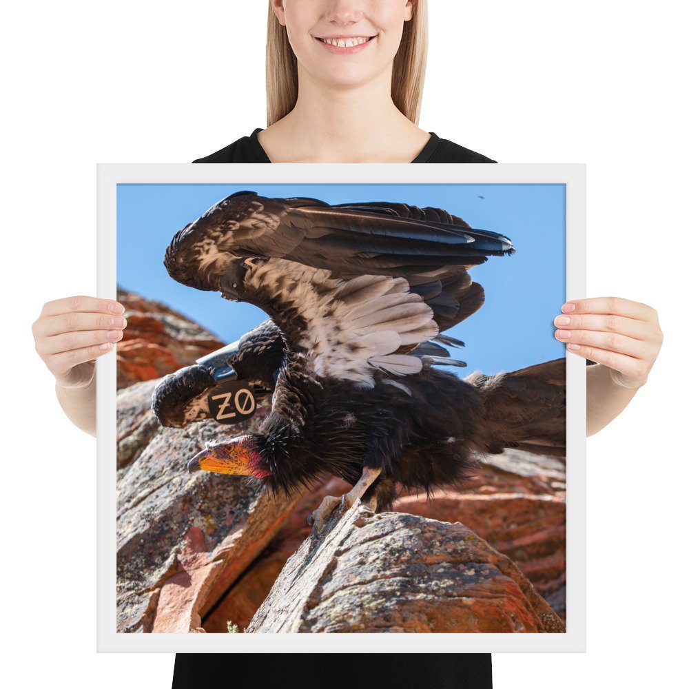 enhanced-matte-paper-framed-poster-(in)-white-18x18-person-681d3daea70d9.jpg