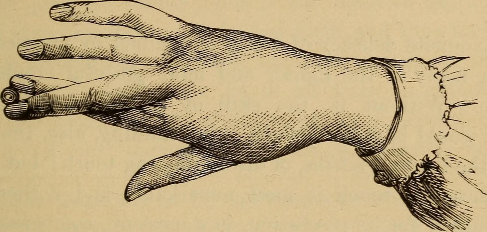 Image: A treatise on physiology and hygiene for educational institutions and general readers (1884)