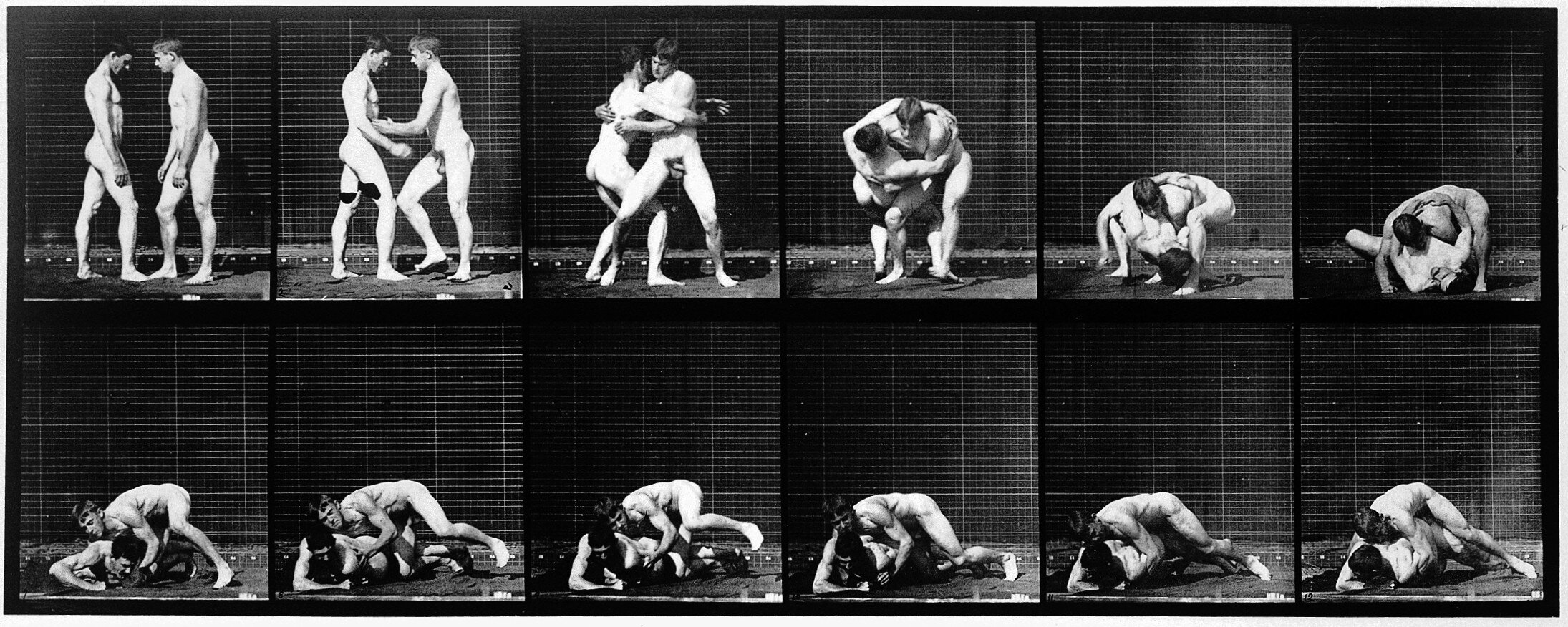Image: E. Muybridge "Animal locomotion", 1887, Wellcome Collection gallery (2018-03-29), CC-BY-4.0 Photo number: L0018594