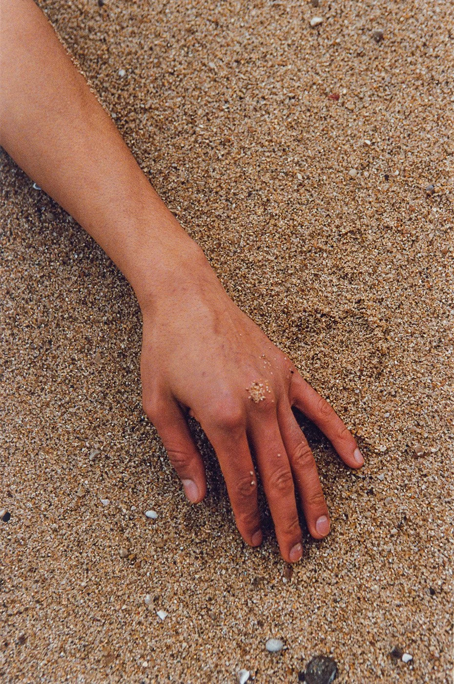 Cécile Larher_Le vent l'emportera_9_BD.jpg