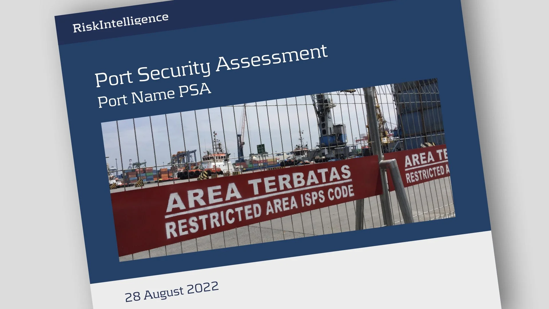 Risk Intelligence Security Risk Assessments Advisory Services