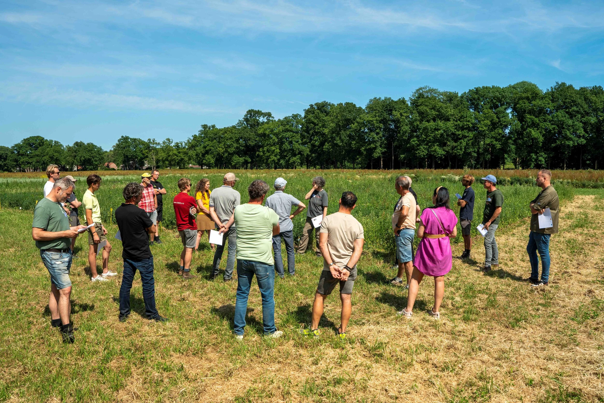 Lekker Lupine dag 200625 Mengproeven Omega bekijken.jpg