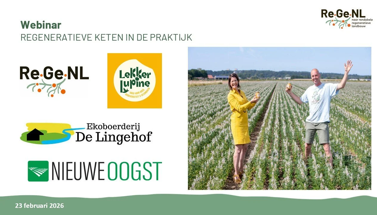 webinar nieuwe oogst regenl.jpg