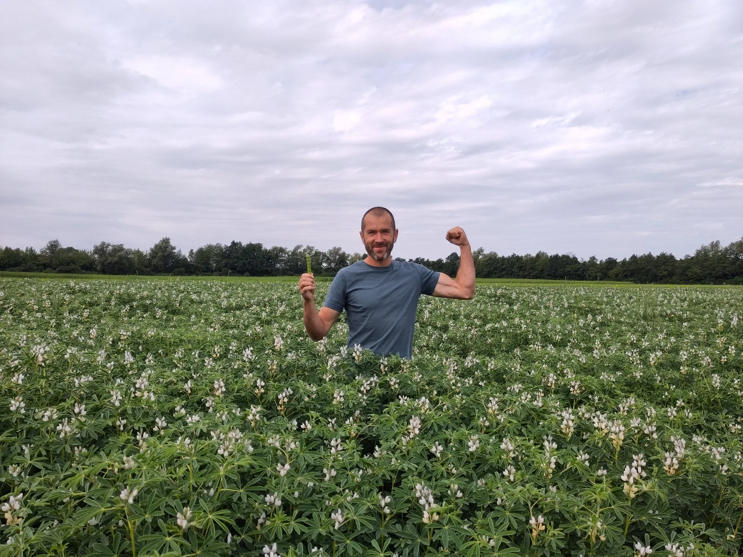 howard koster de biesterhof.jpg