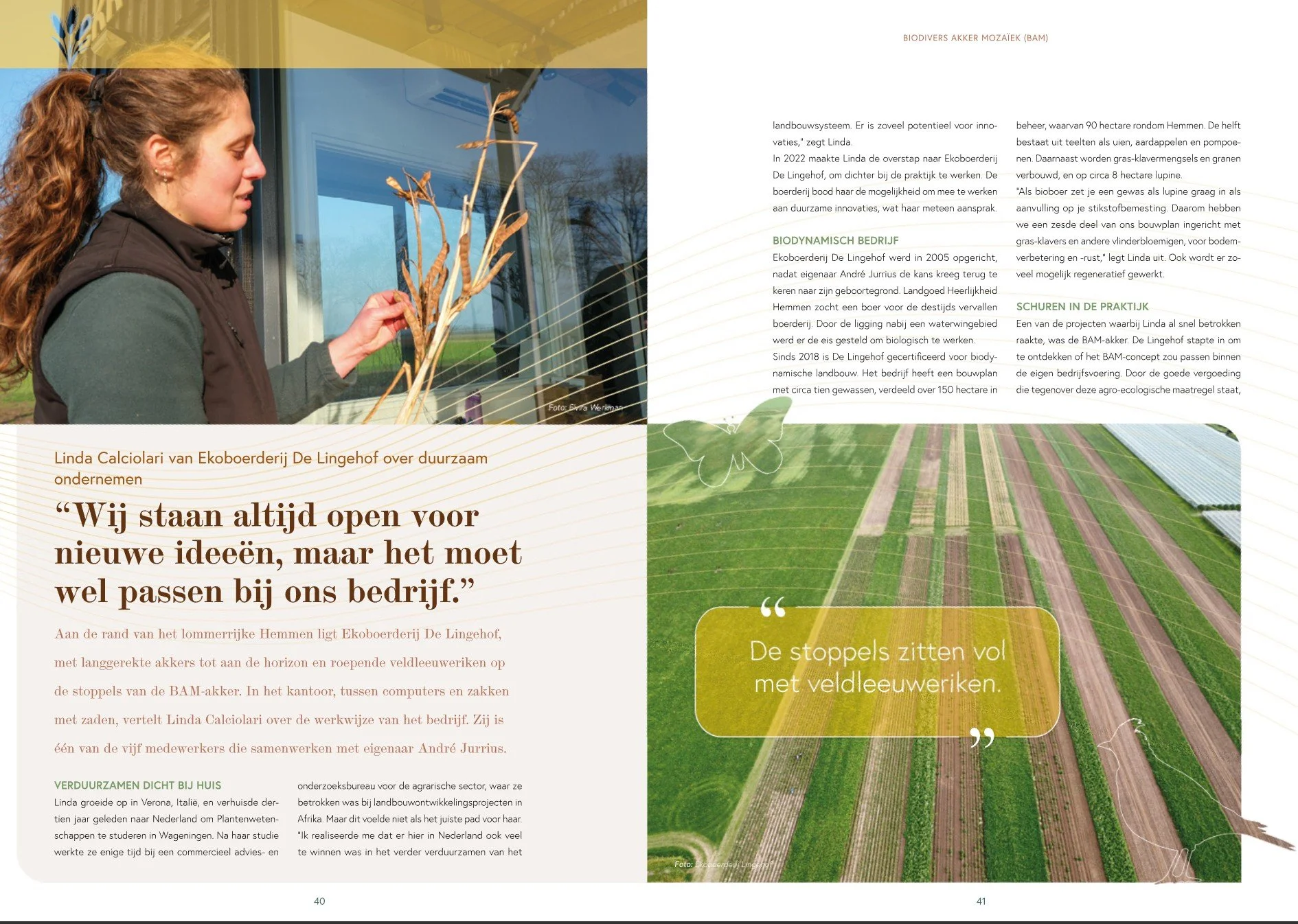 BAM akker Linda Calciolari.jpg