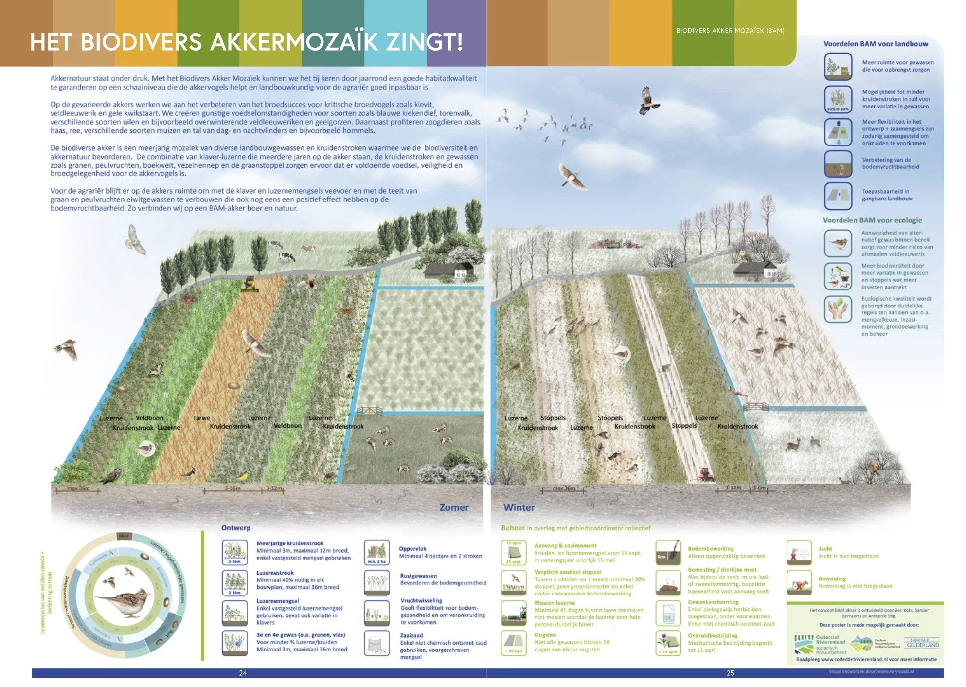 BAM akker in beeld Schermafbeelding 2026-04-21 082309.jpg