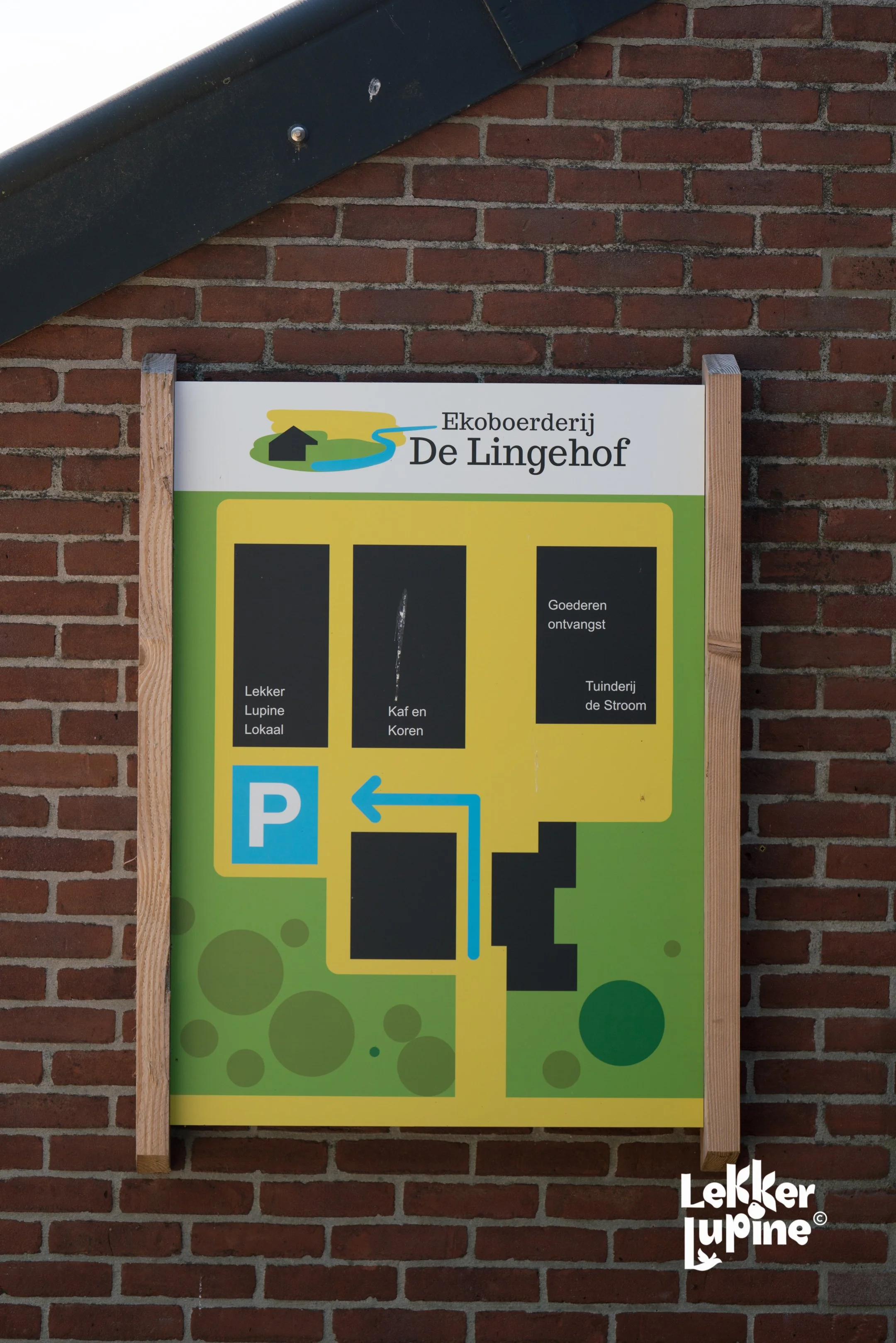 db_260626_06017-16.jpg