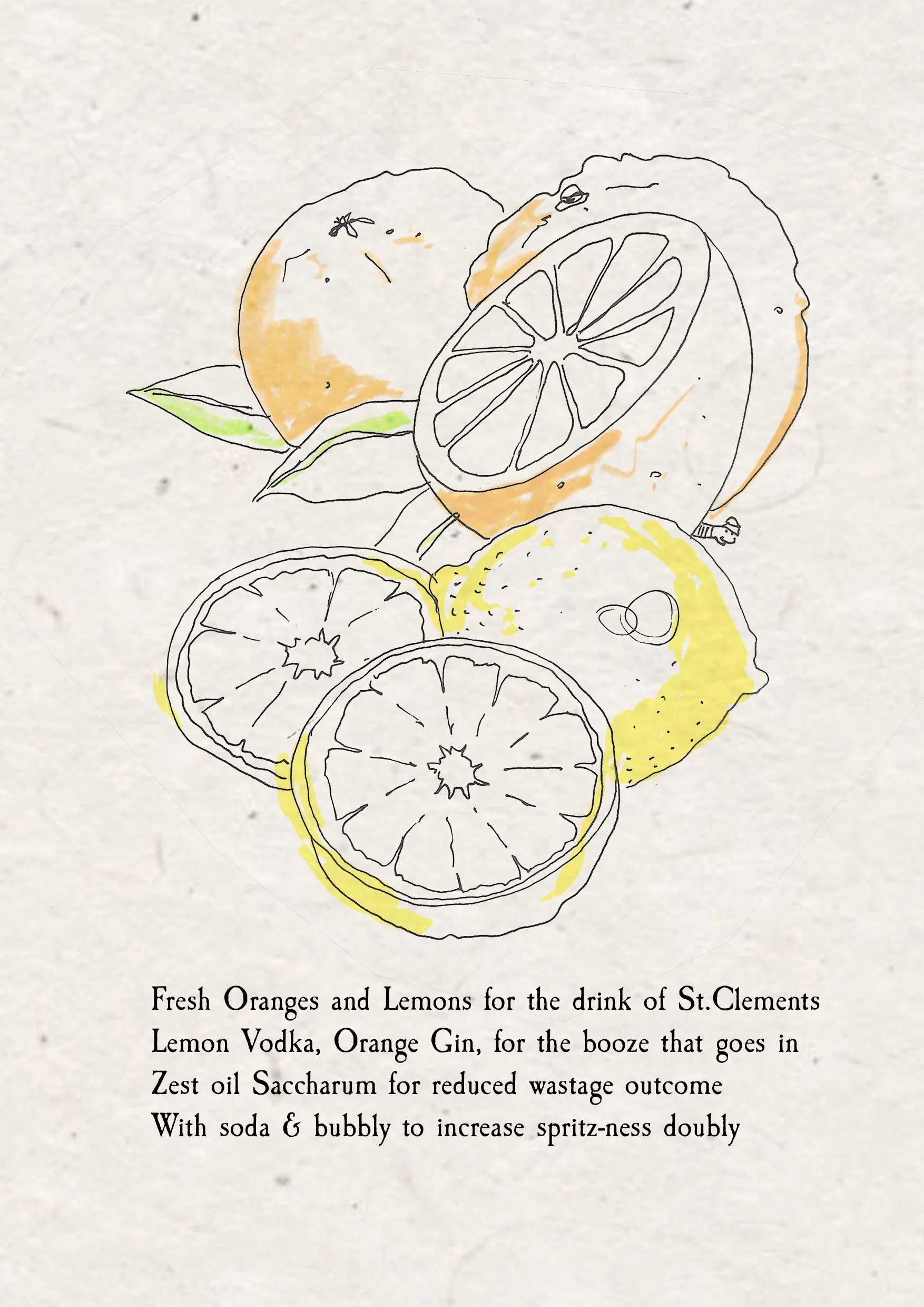 01 06 oranges and lemons.jpg