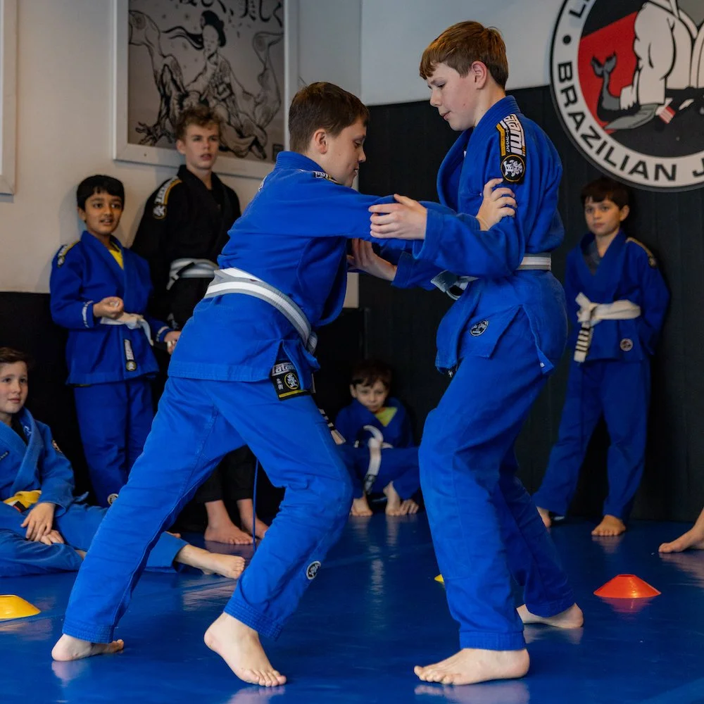 Martial Arts For Kids Near Me 5 BJJ In Putney London martial-arts-for-kids-near-me-5-bjj-in-putney-london