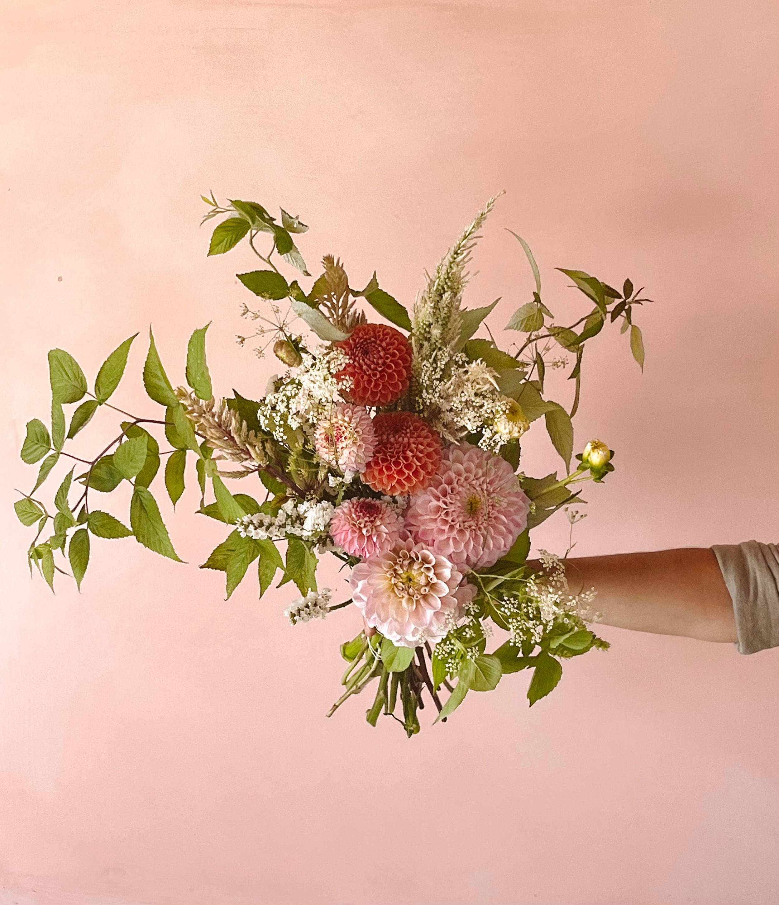 bouquet dahlia pink pearl-.jpg