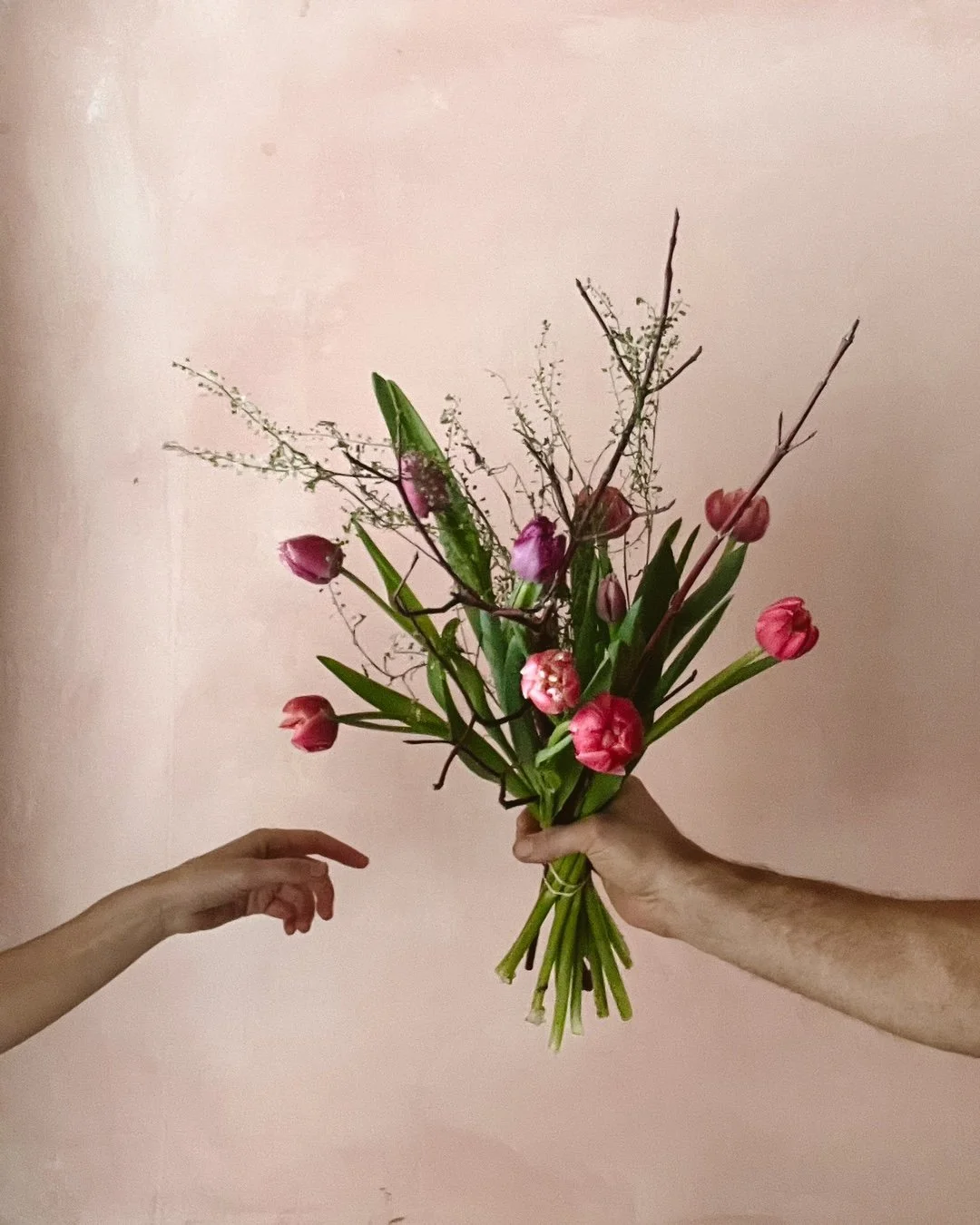 2024 tulipe donner un bouquet.jpg
