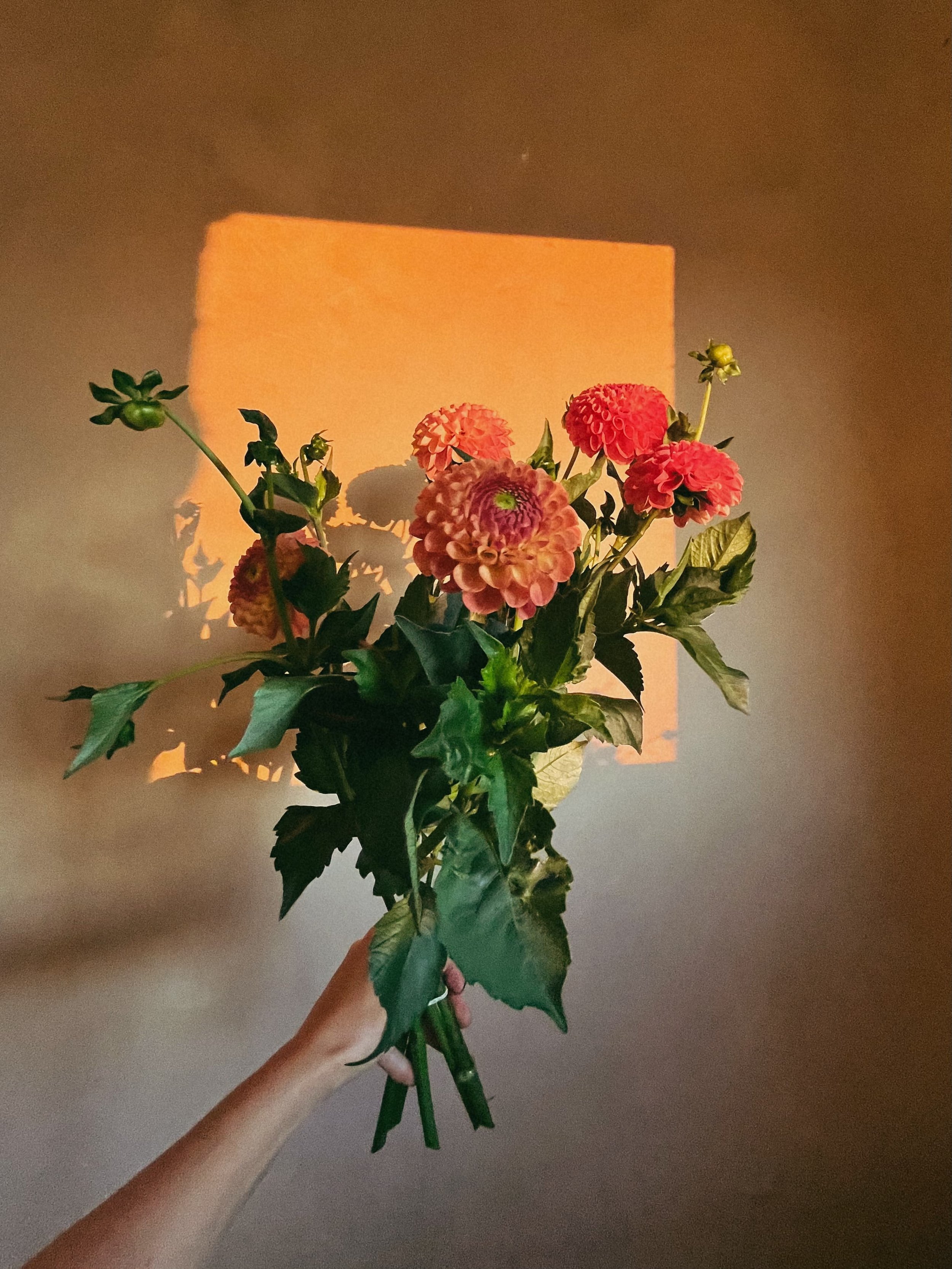 Ce qui s’enracine chez Pastel en 2026